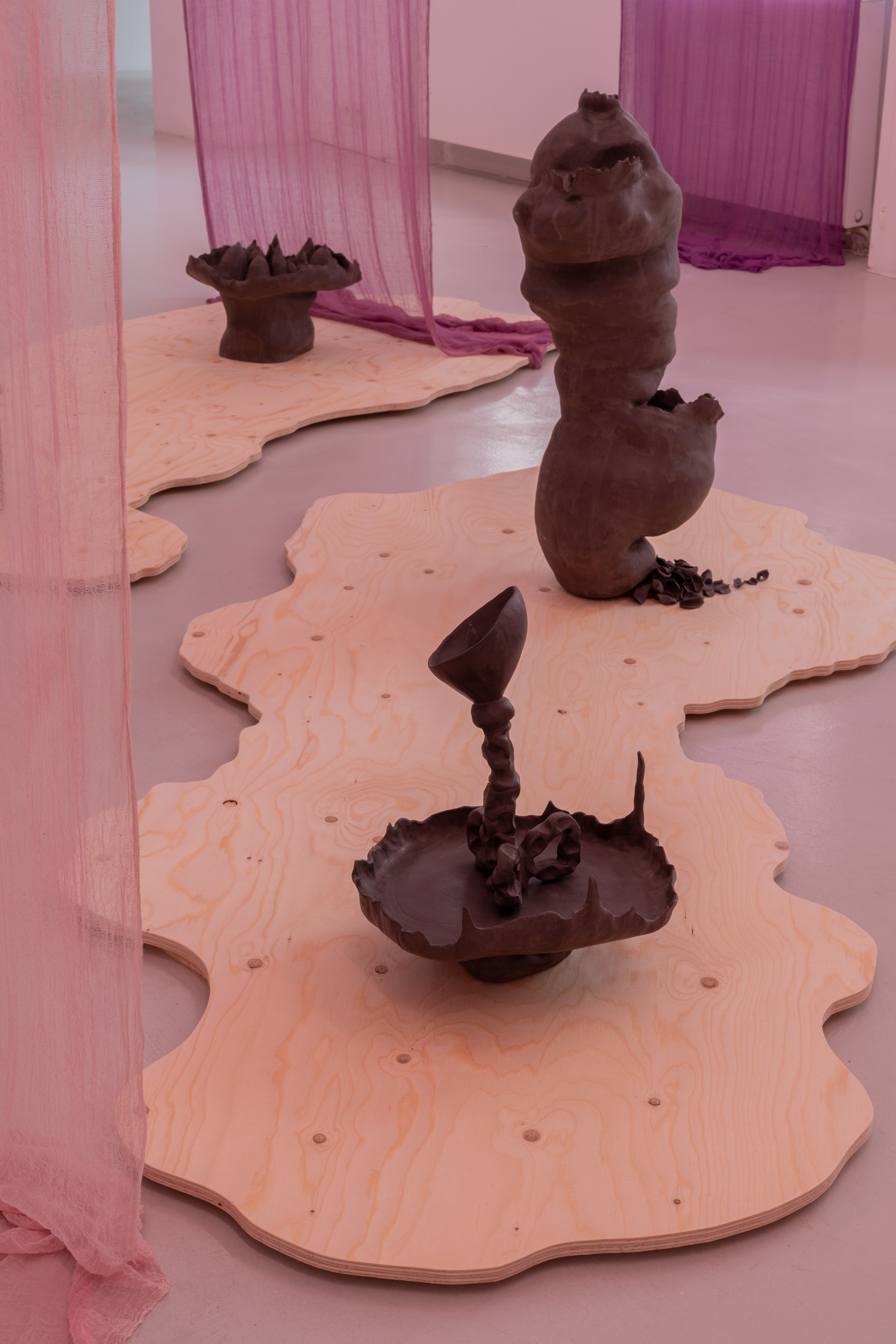 Exhibition view, Maja ∀. Ngom, Voicerals, ©galeria skala.