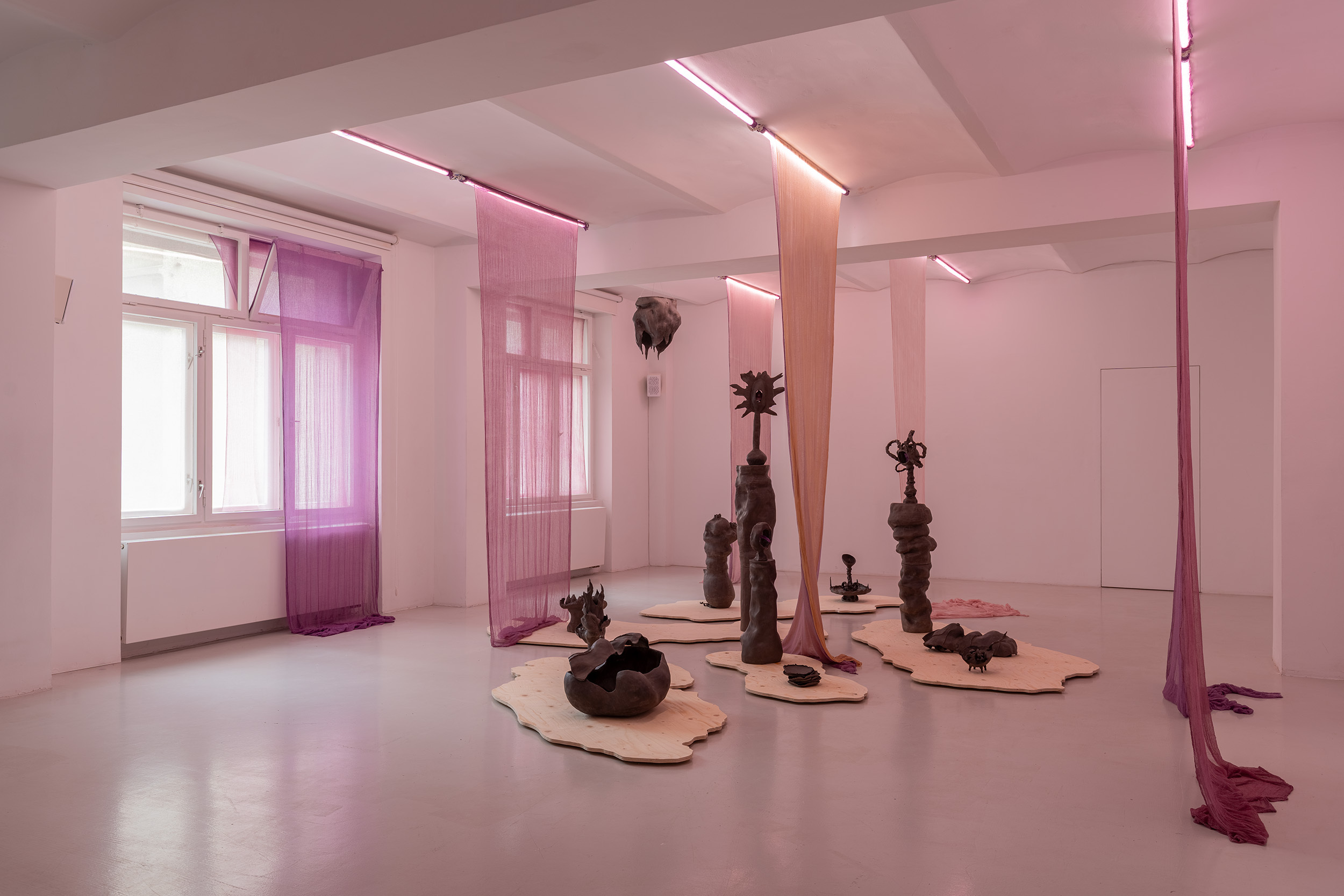 Exhibition view, Maja ∀. Ngom, Voicerals, ©galeria skala.
