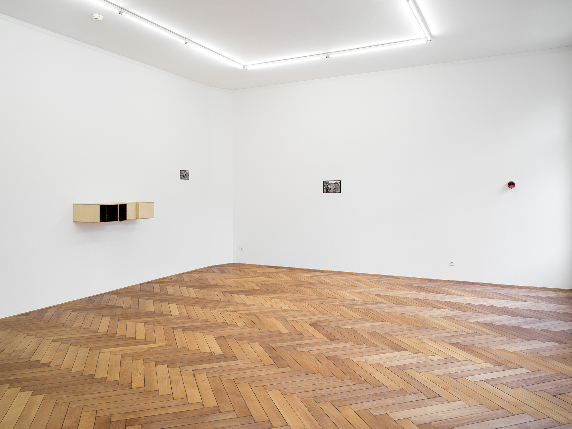 Sonnendeck, Rosengarten WC Welle-7, installation view Stadtgalerie Bern, 2026. Photo: Cedric Mussano