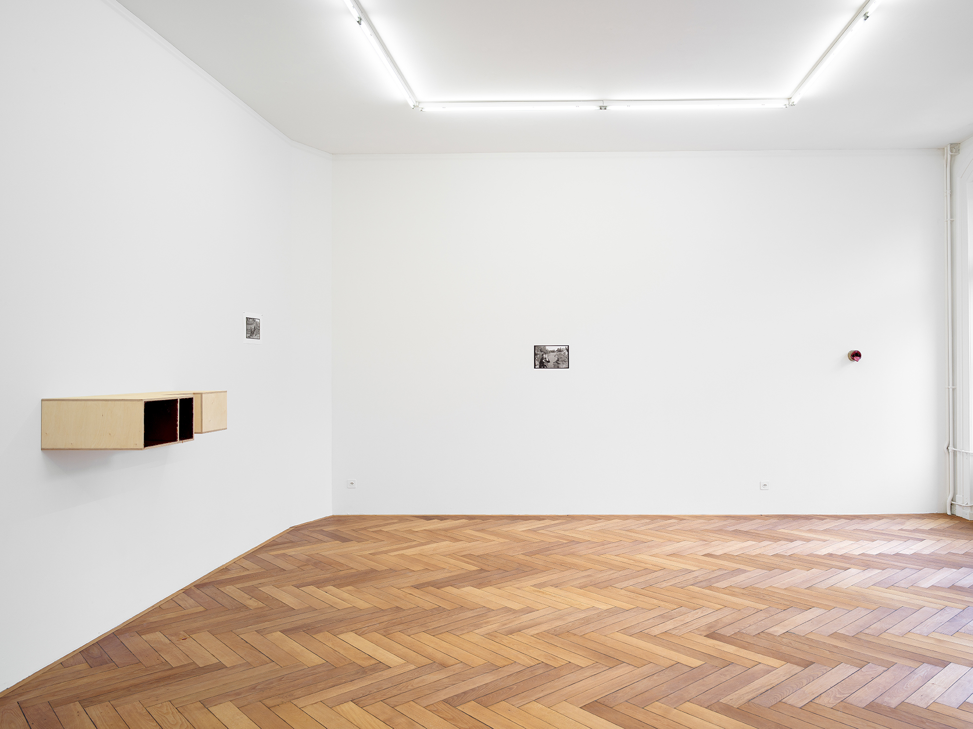 Sonnendeck, Rosengarten WC Welle-7, installation view Stadtgalerie Bern, 2026. Photo: Cedric Mussano