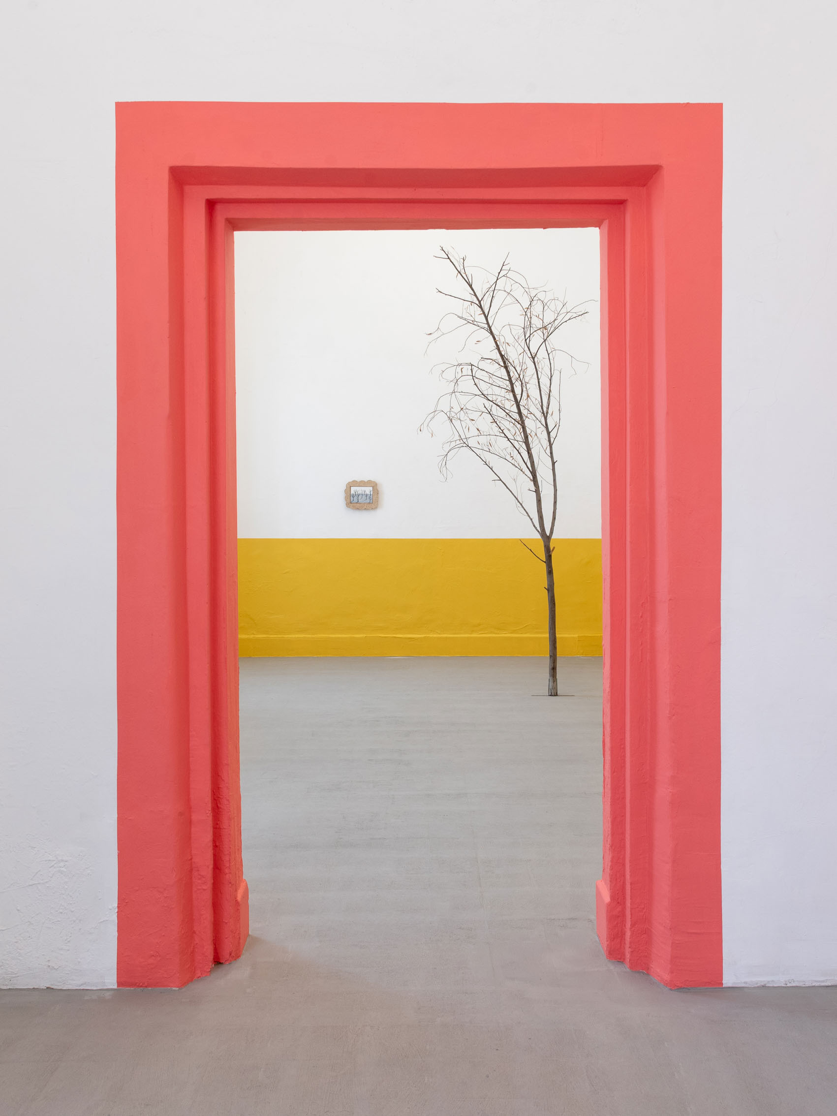 Esteban Leñero, "Paisaje Abrupto" courtesy guadalajara90210 and the artist, photo Agustín Arce Figueroa