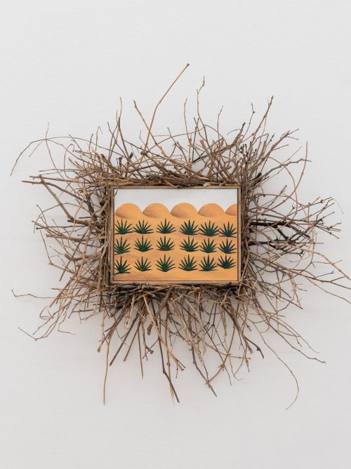 Esteban Leñero Paisaje Abrupto courtesy guadalajara90210 and the artist photo Agustín Arce Figueroa 12 V