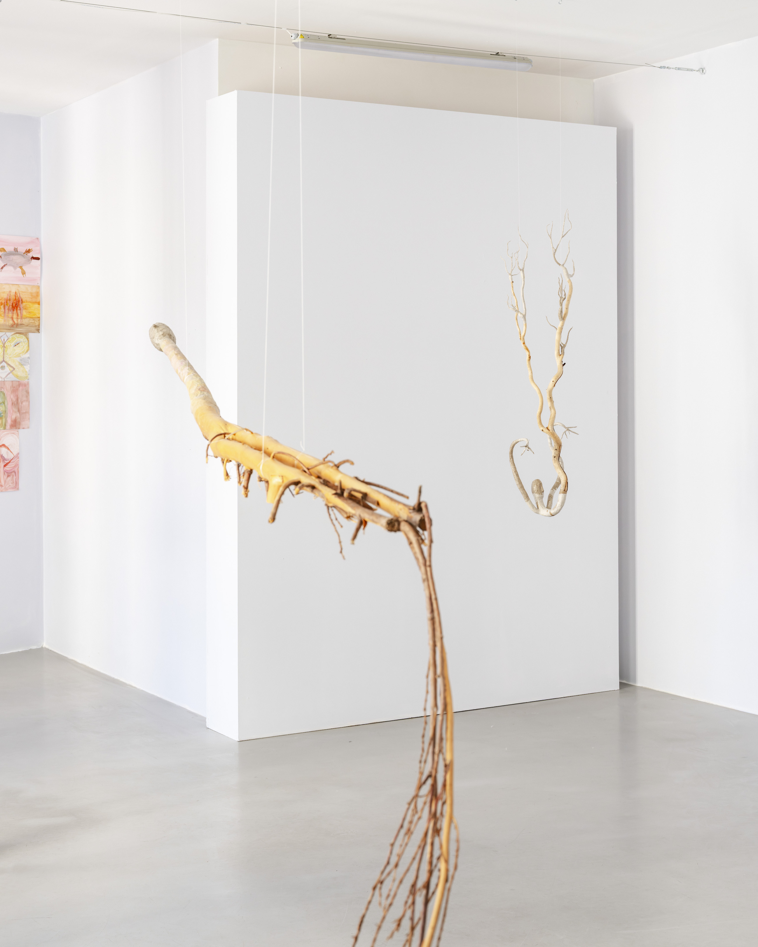 Joanna Fluder, Bruise, Shine on My Skin, May 22–June 20, 2026, Polana Institute, Warsaw, Poland, phot. Olga Tuz