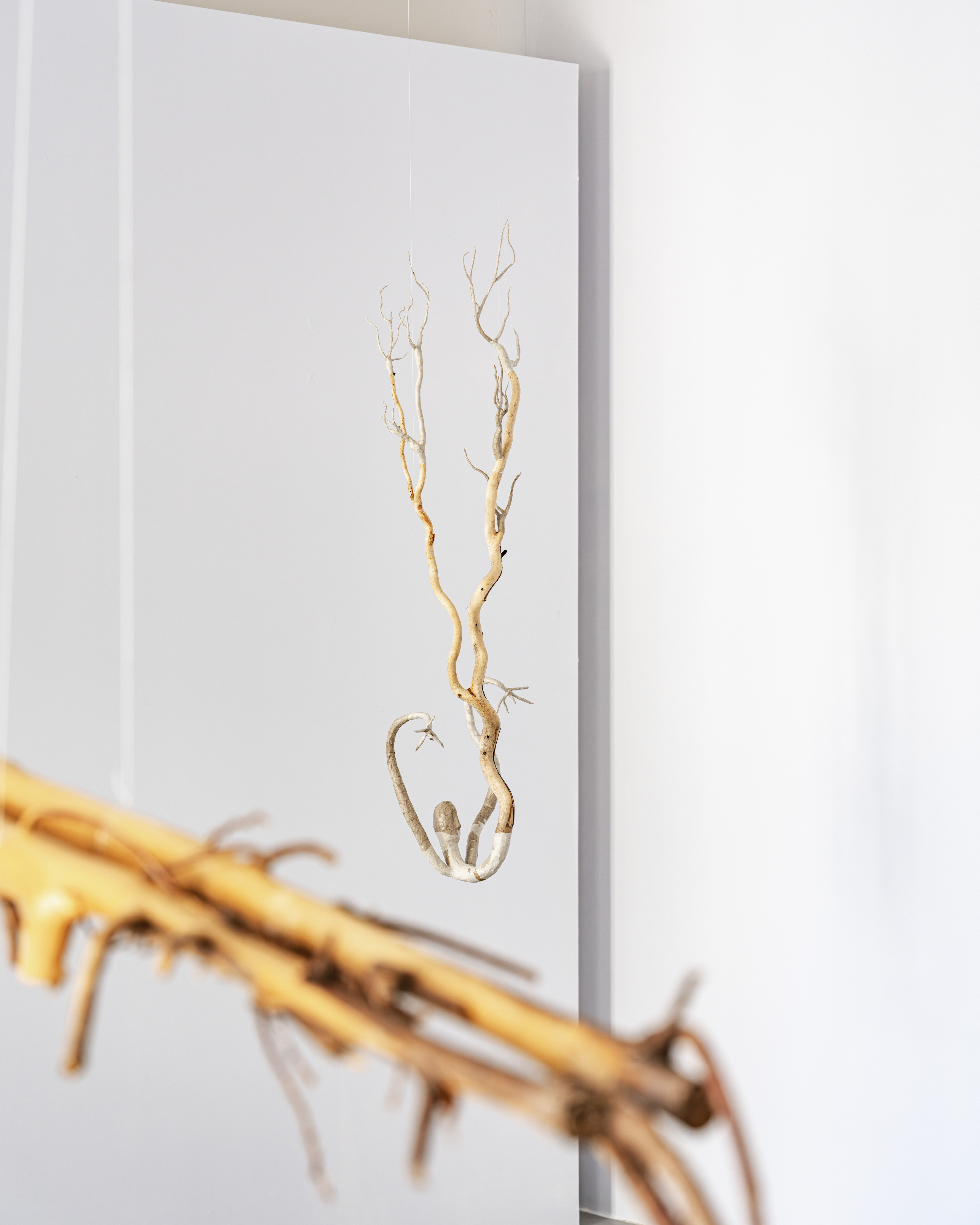 Joanna Fluder, Bruise, Shine on My Skin, May 22–June 20, 2026, Polana Institute, Warsaw, Poland, phot. Olga Tuz