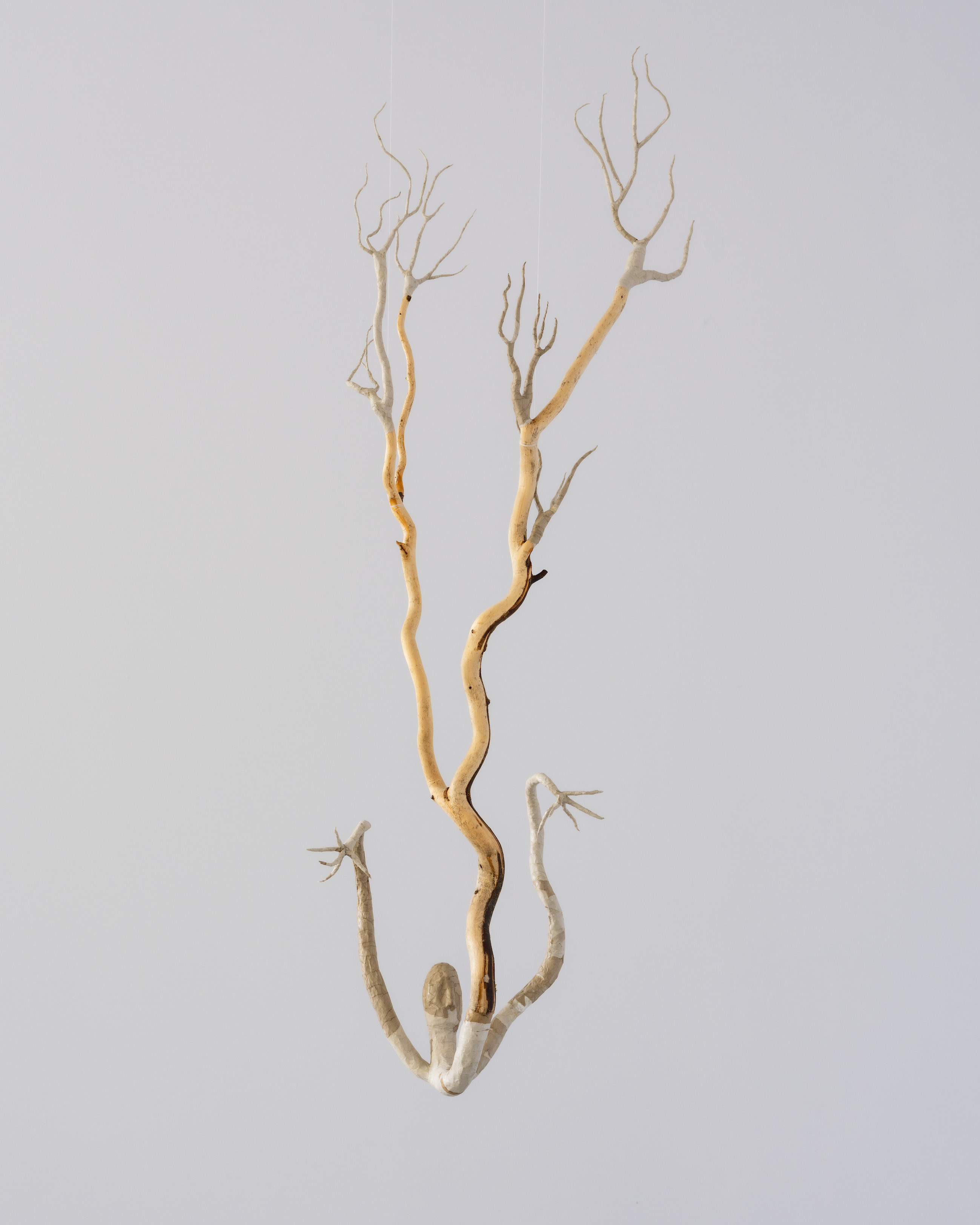 Joanna Fluder, Bruise, Shine on My Skin, May 22–June 20, 2026, Polana Institute, Warsaw, Poland, phot. Olga Tuz