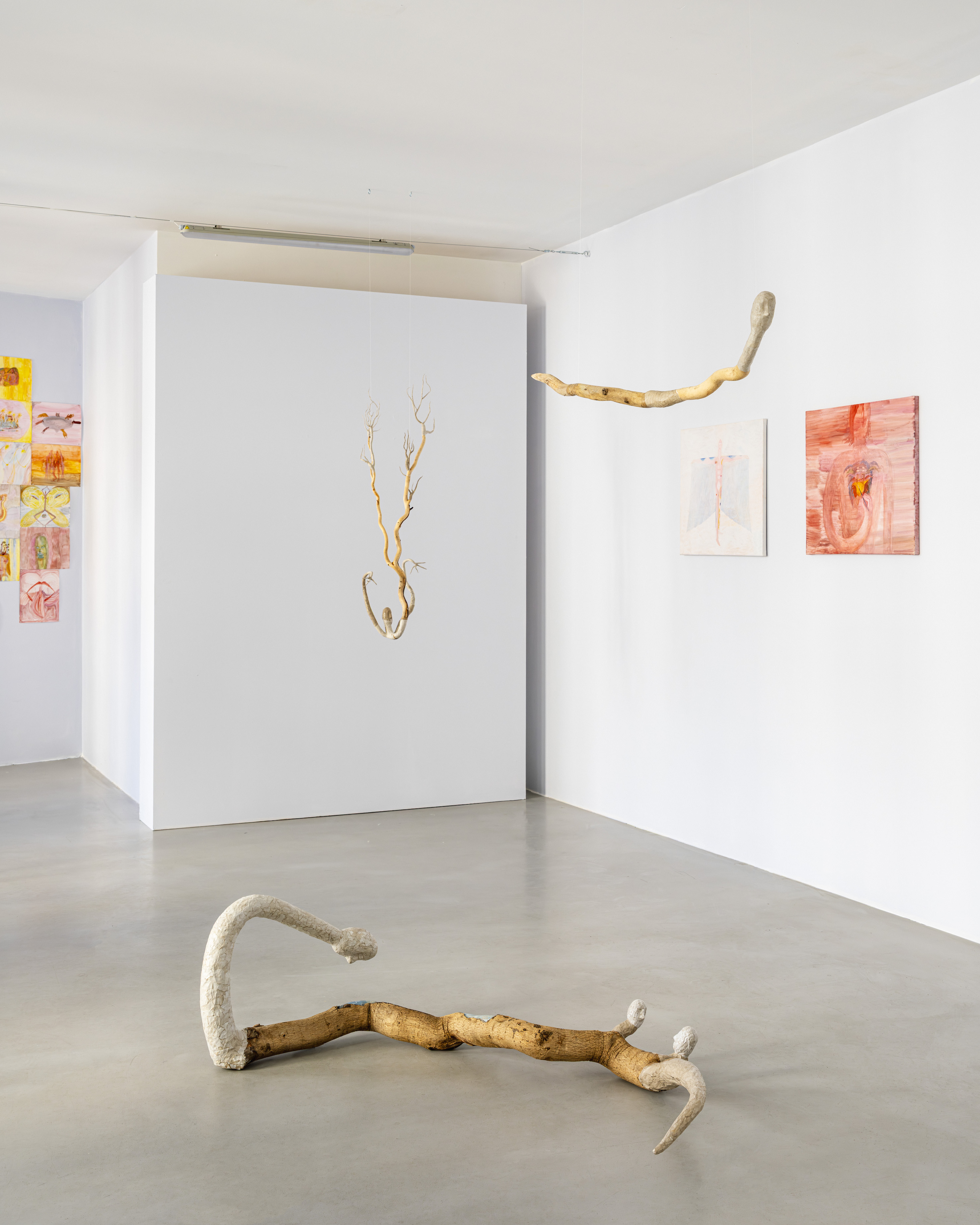 Joanna Fluder, Bruise, Shine on My Skin, May 22–June 20, 2026, Polana Institute, Warsaw, Poland, phot. Olga Tuz