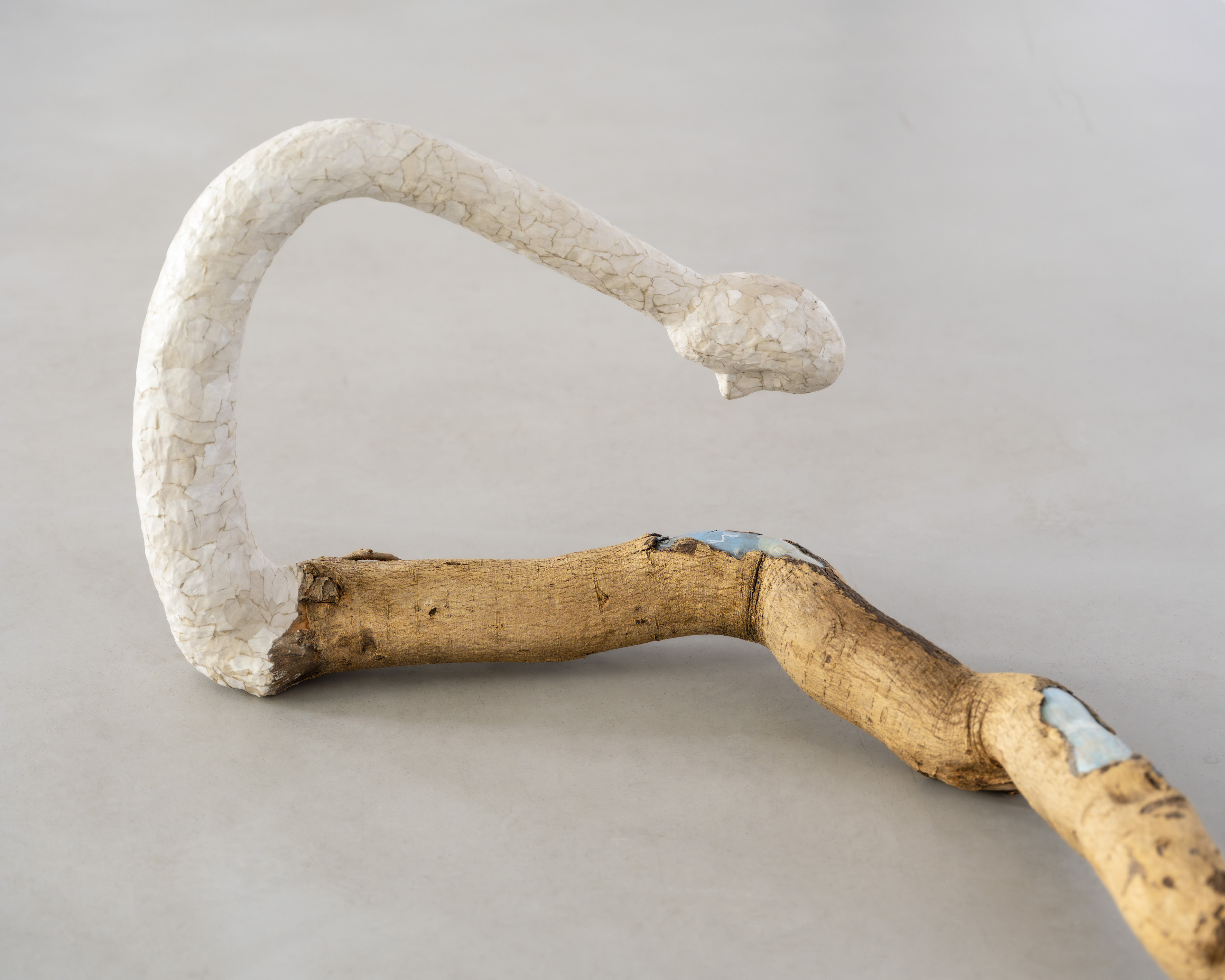 Joanna Fluder, Bruise, Shine on My Skin, May 22–June 20, 2026, Polana Institute, Warsaw, Poland, phot. Olga Tuz