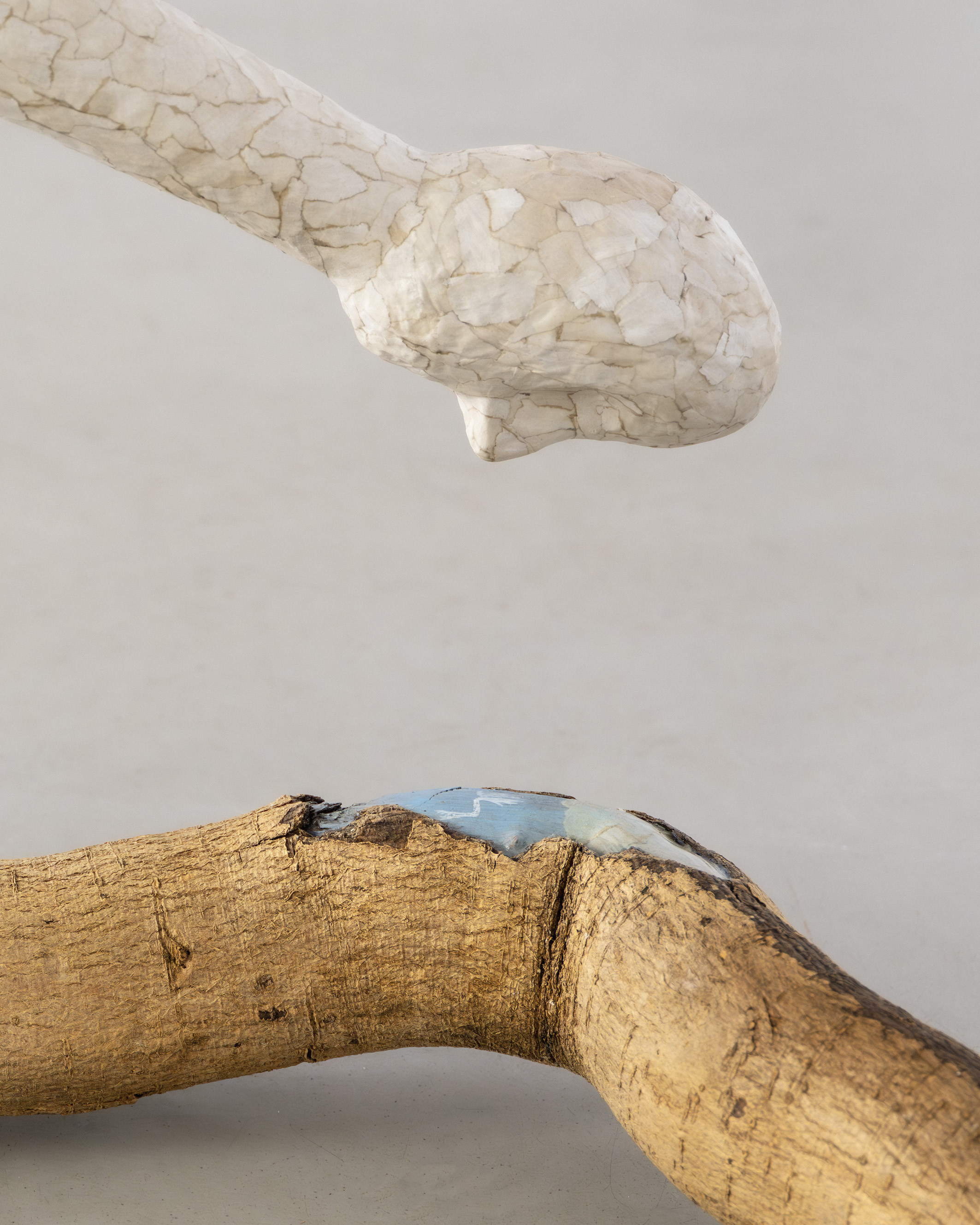 Joanna Fluder, Bruise, Shine on My Skin, May 22–June 20, 2026, Polana Institute, Warsaw, Poland, phot. Olga Tuz