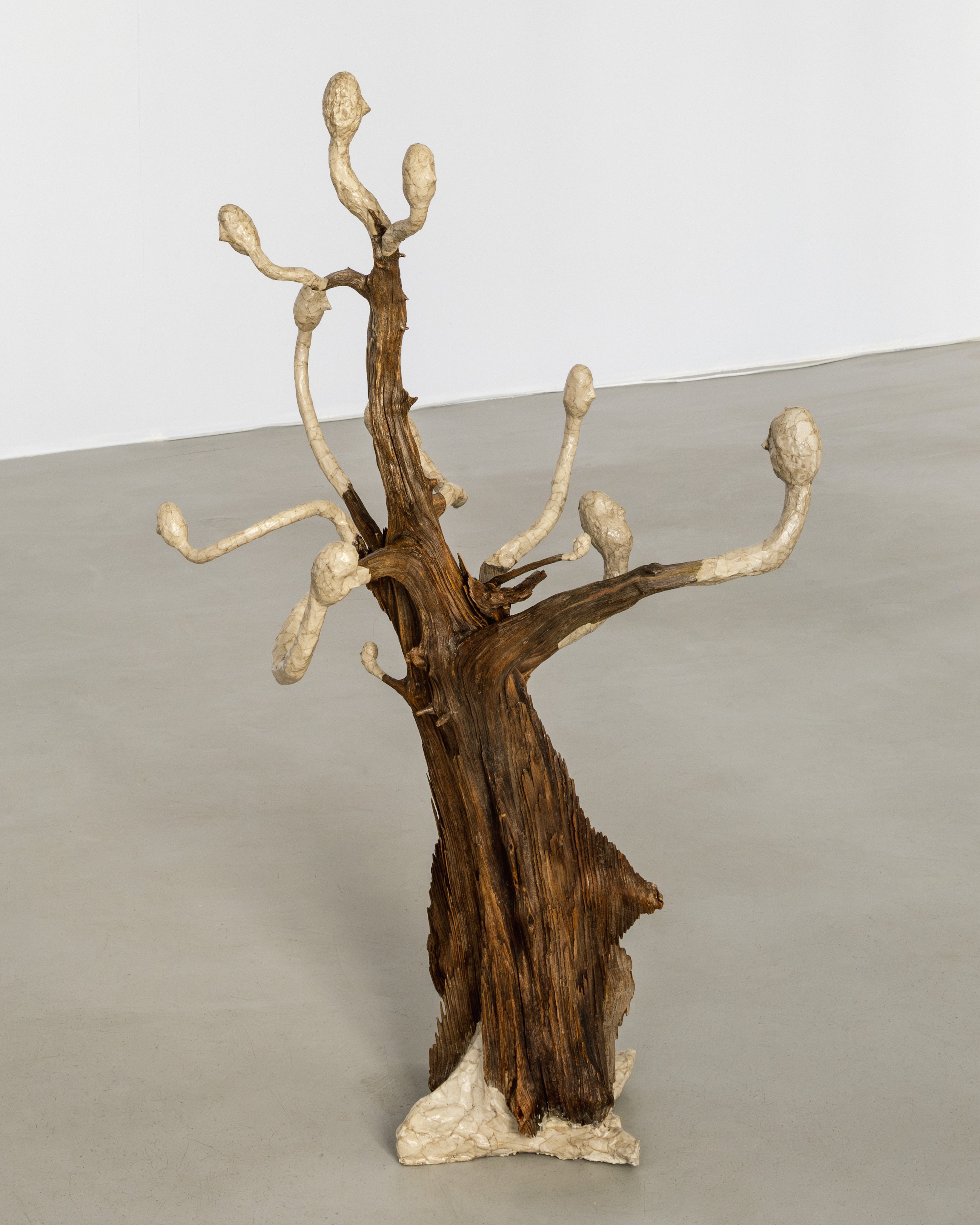 Joanna Fluder, Bruise, Shine on My Skin, May 22–June 20, 2026, Polana Institute, Warsaw, Poland, phot. Olga Tuz
