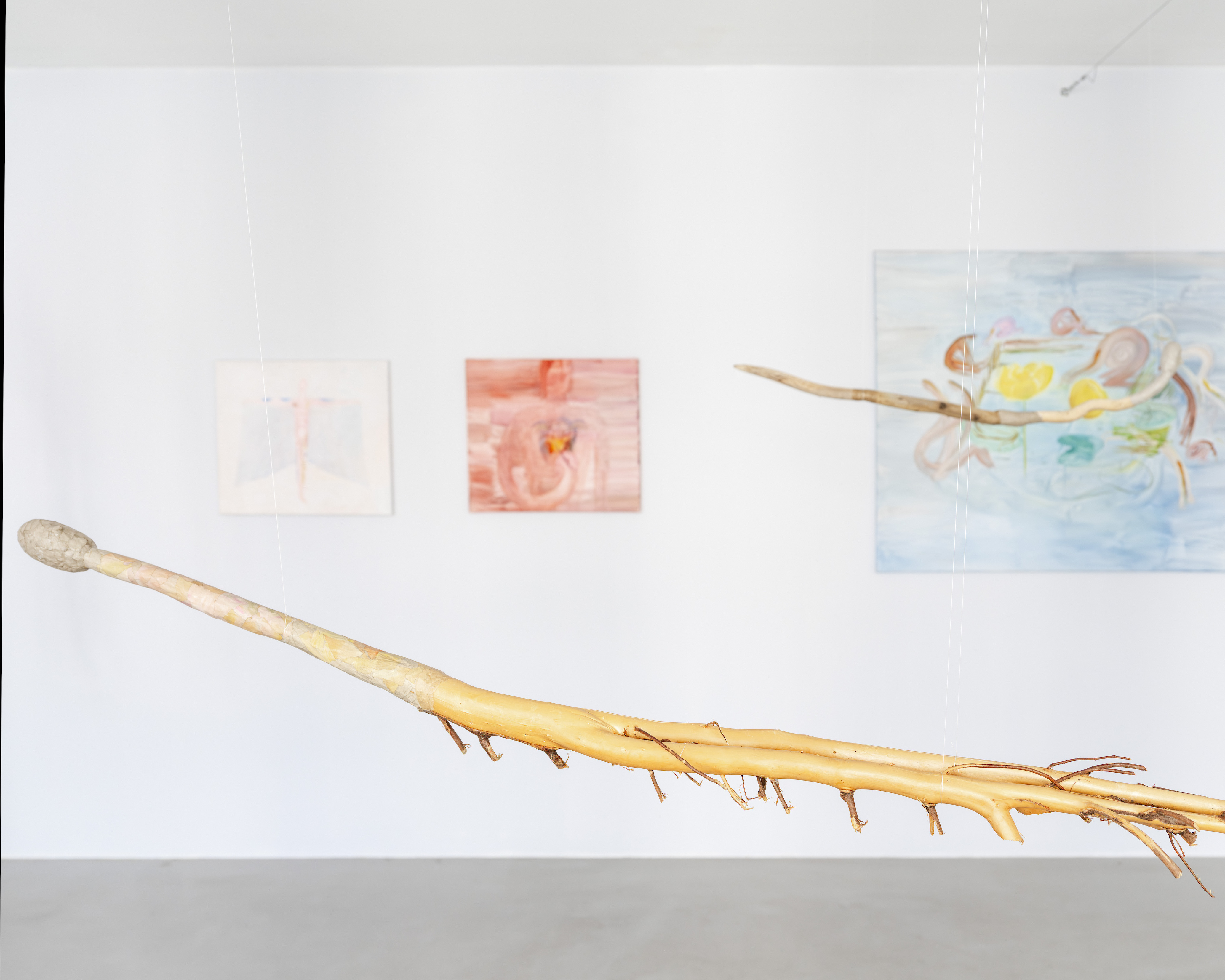 Joanna Fluder, Bruise, Shine on My Skin, May 22–June 20, 2026, Polana Institute, Warsaw, Poland, phot. Olga Tuz