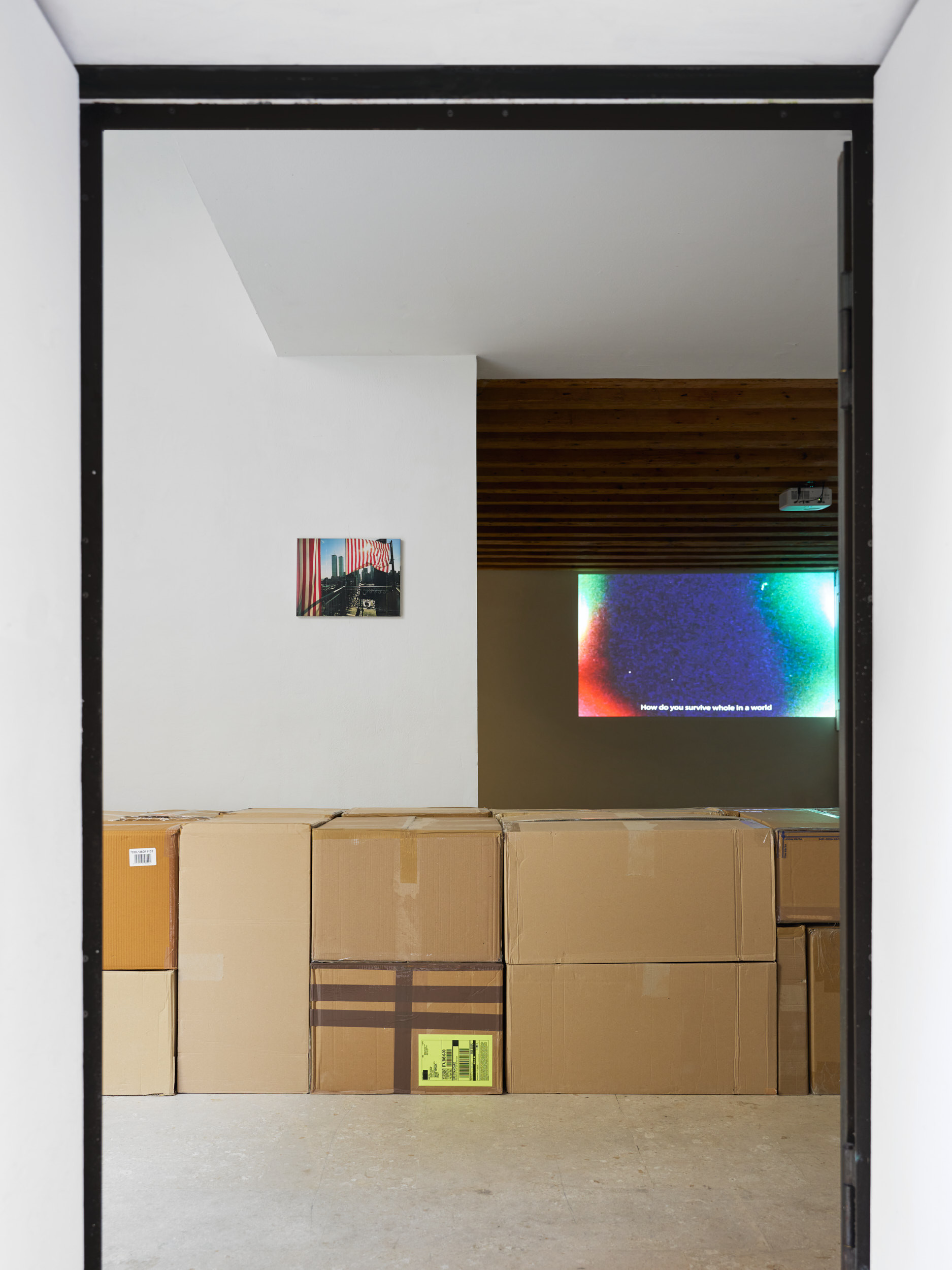 Counterforms, 2026, exhibition view, A plus A Gallery, Venice ph. Clelia Cadamuro