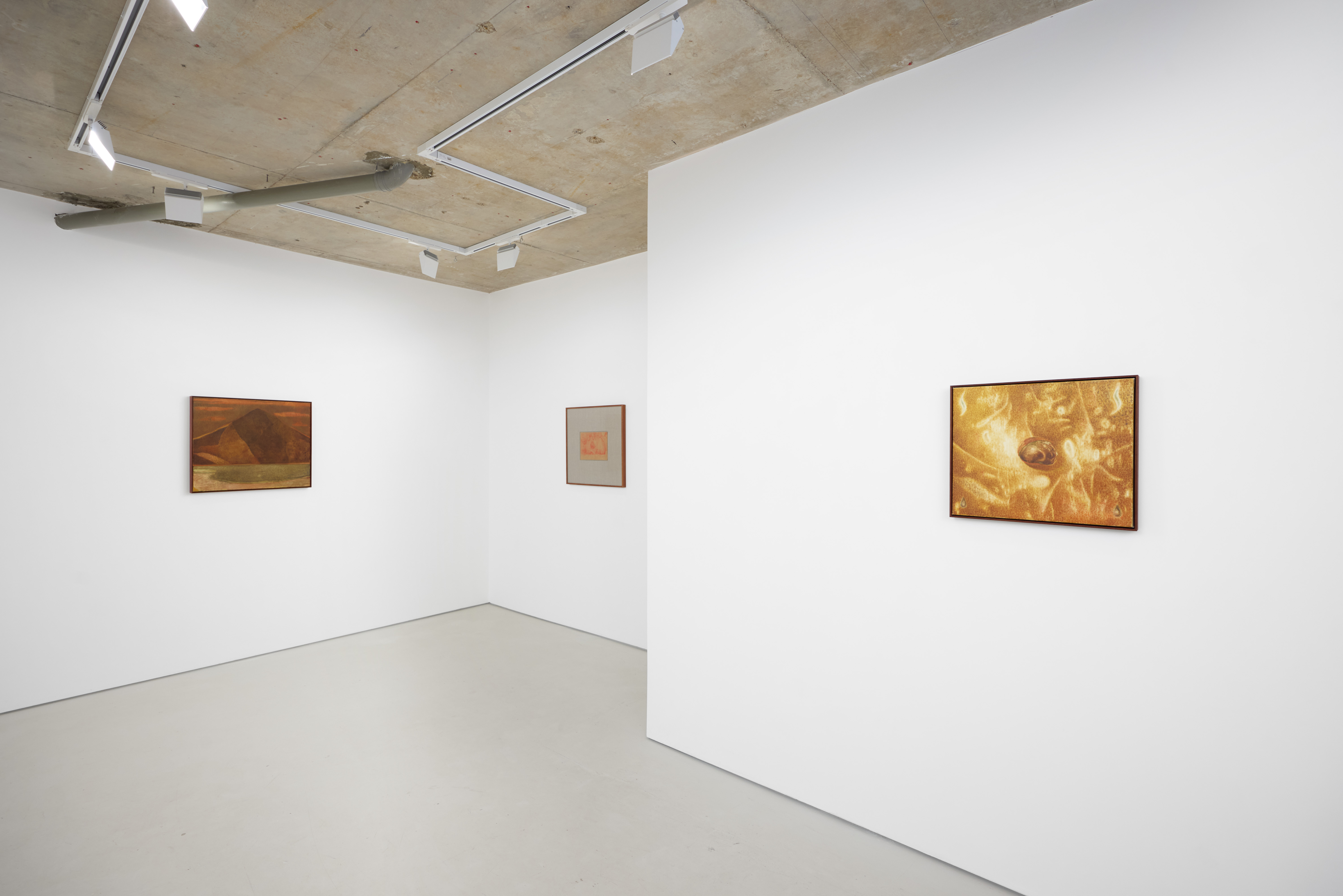 Installation view of Rafal Topolewski 'Dusk' (2026) at Alice Amati, London | Photo Tom Carter