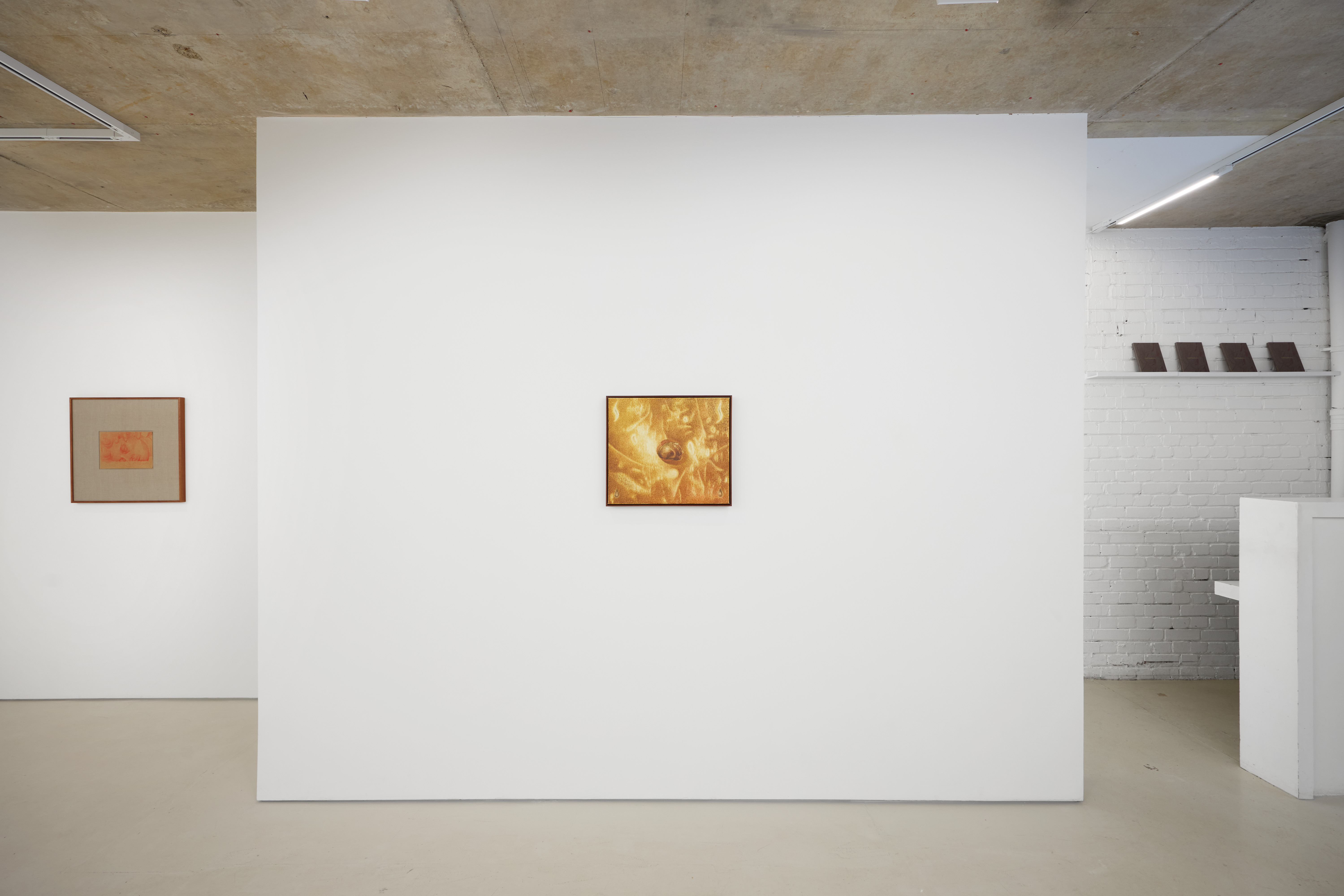 Installation view of Rafal Topolewski 'Dusk' (2026) at Alice Amati, London | Photo Tom Carter