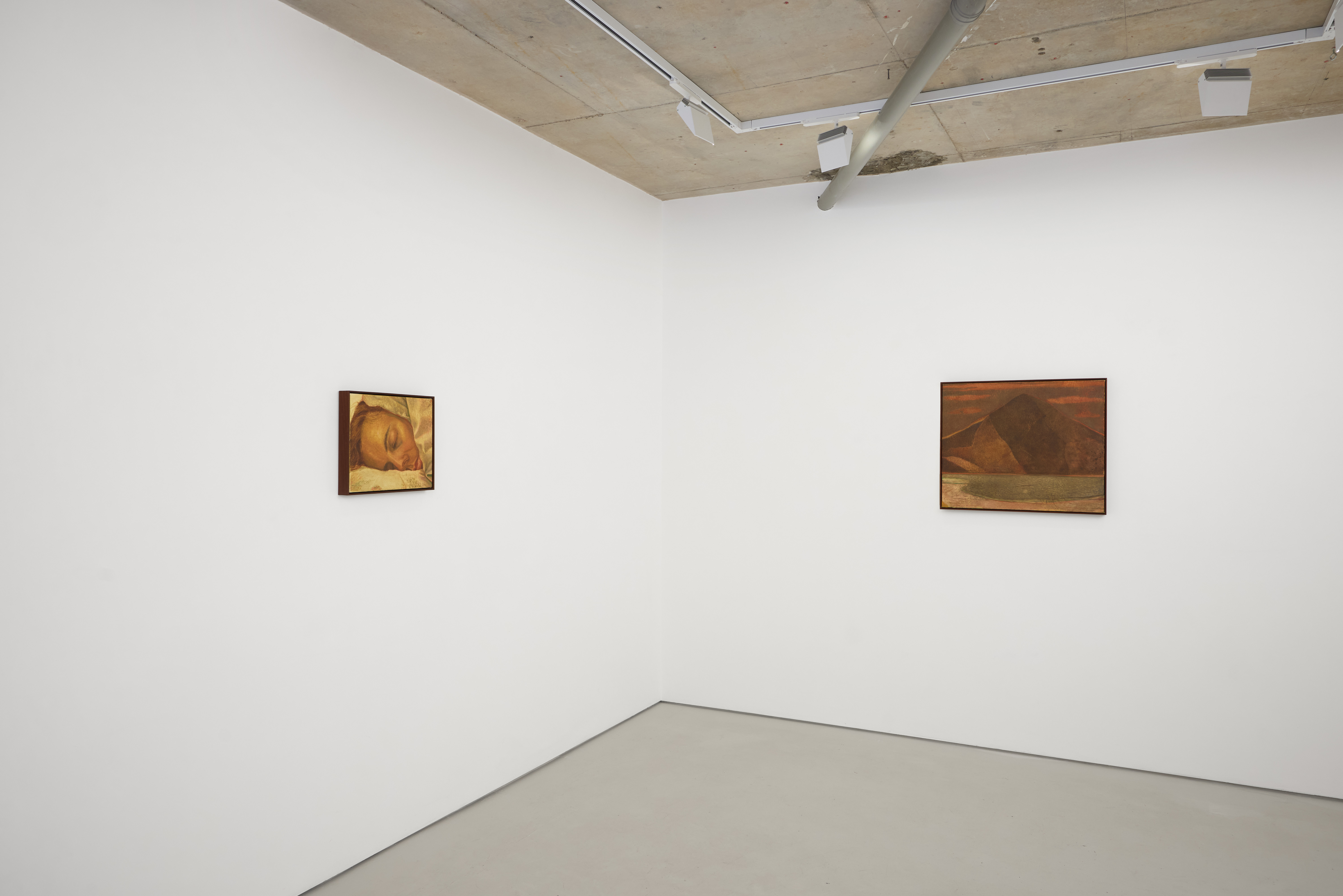 Installation view of Rafal Topolewski 'Dusk' (2026) at Alice Amati, London | Photo Tom Carter