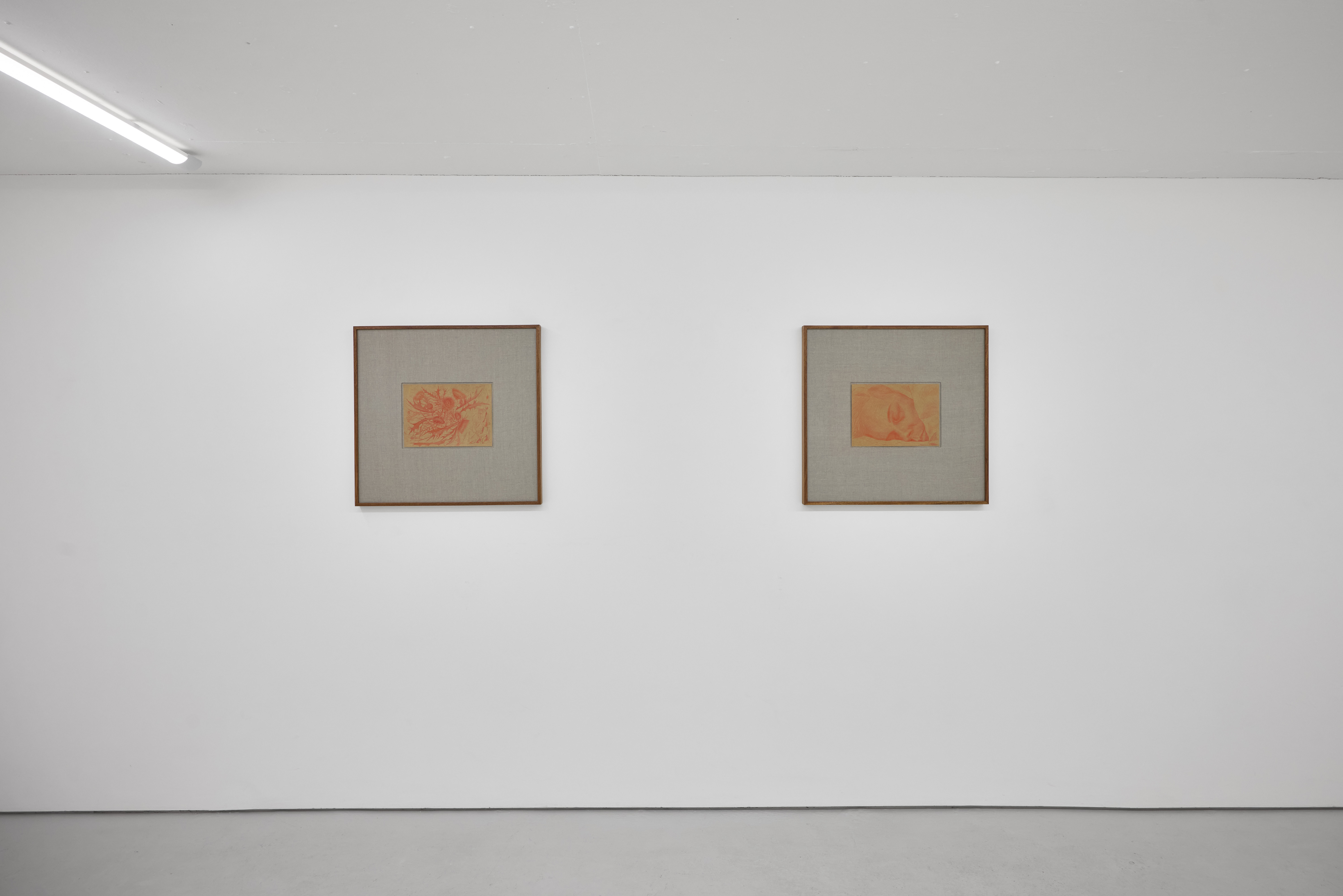 Installation view of Rafal Topolewski 'Dusk' (2026) at Alice Amati, London | Photo Tom Carter