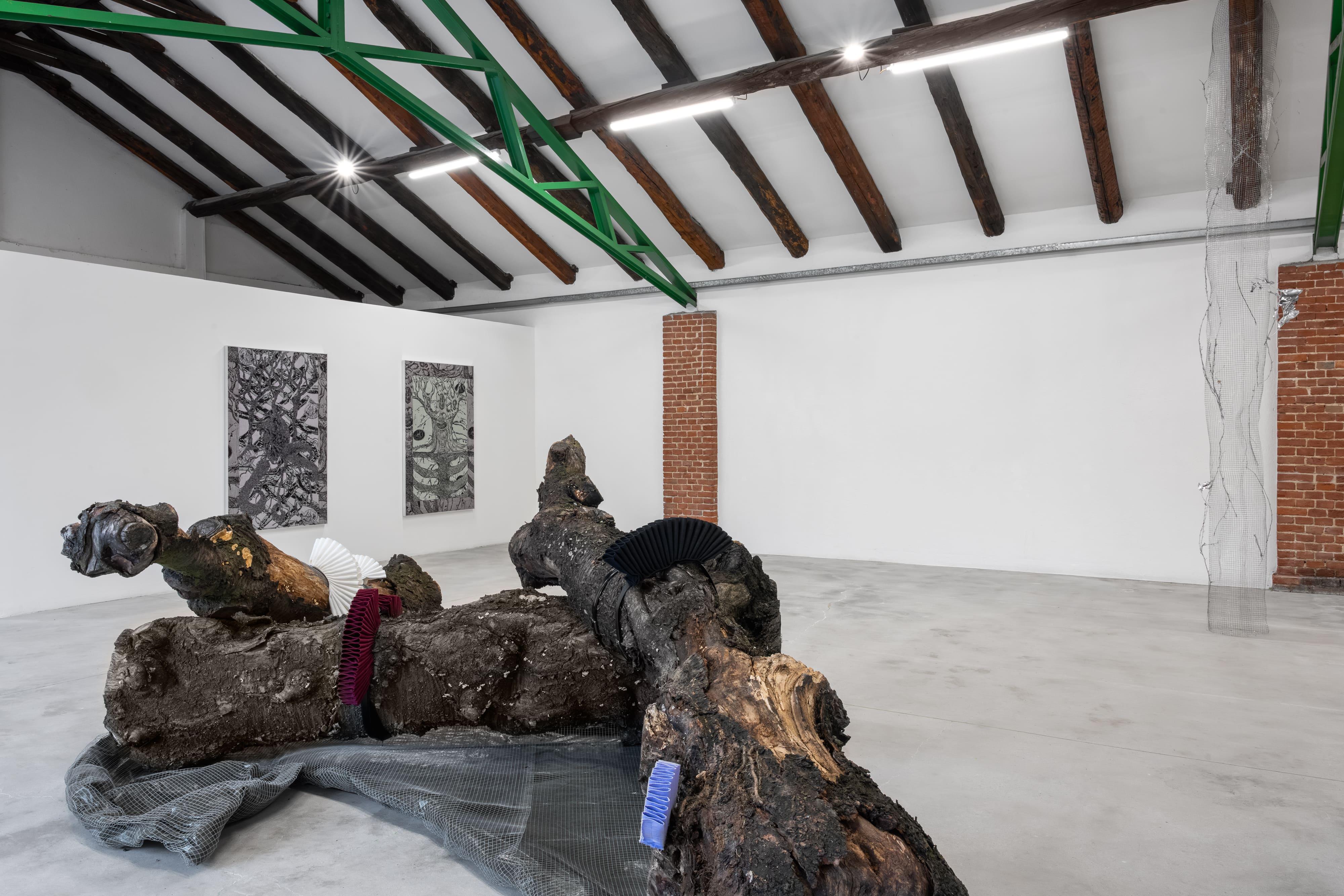 Ingeborg Tysse, Old Snag, 2026, installation view