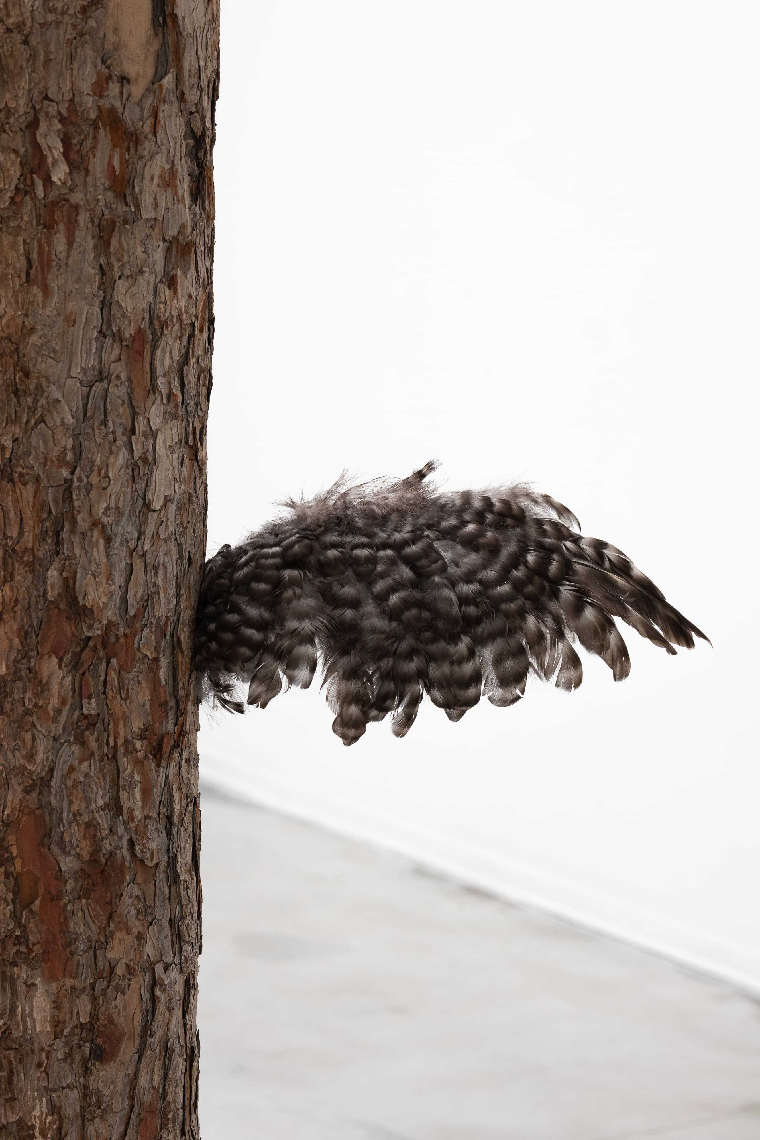 Ingeborg Tysse, Old Snag, 2026 Pine wood, bird feathers 178 x 80 x 25 cm,detail
