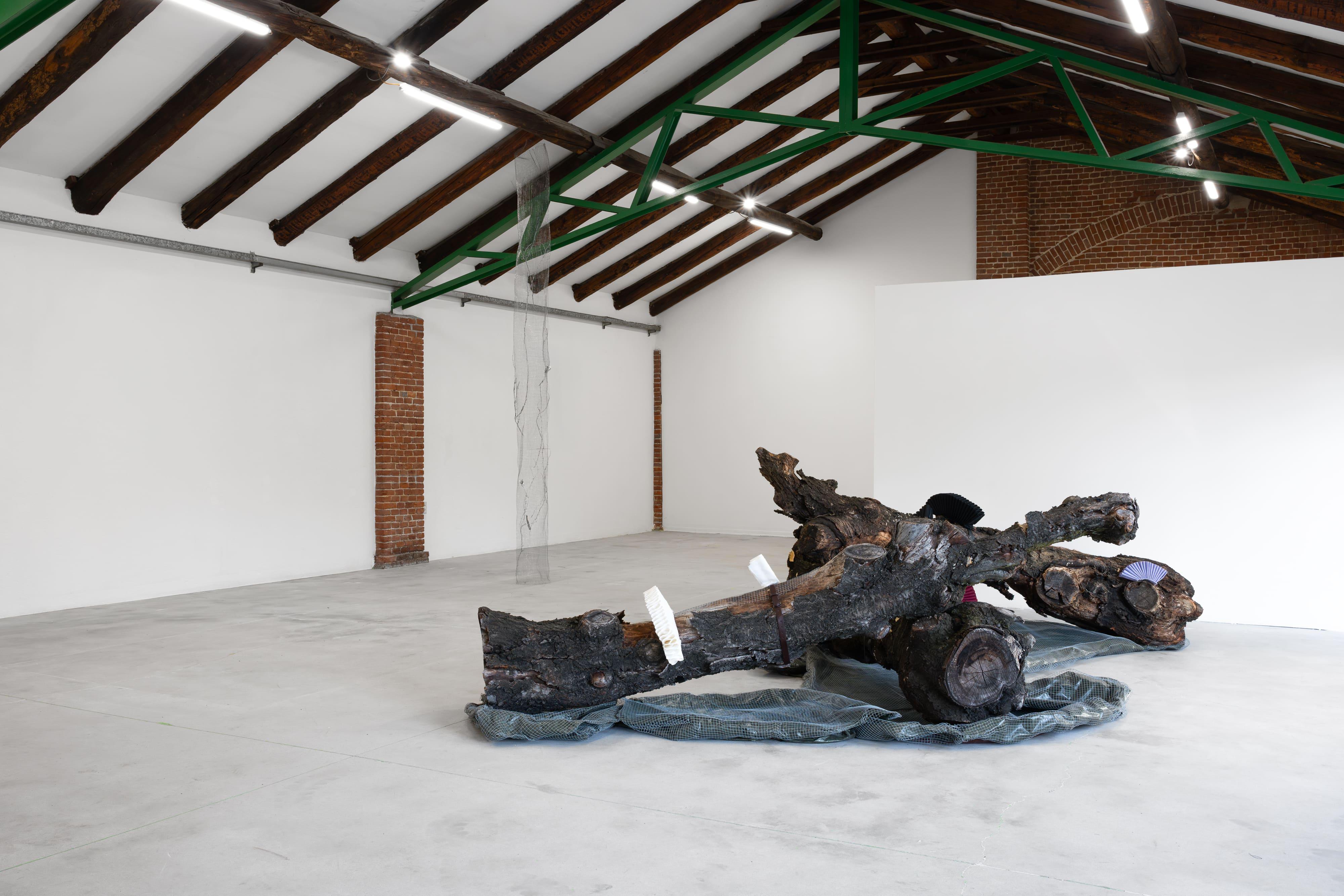 Ingeborg Tysse, Old Snag, 2026, installation view