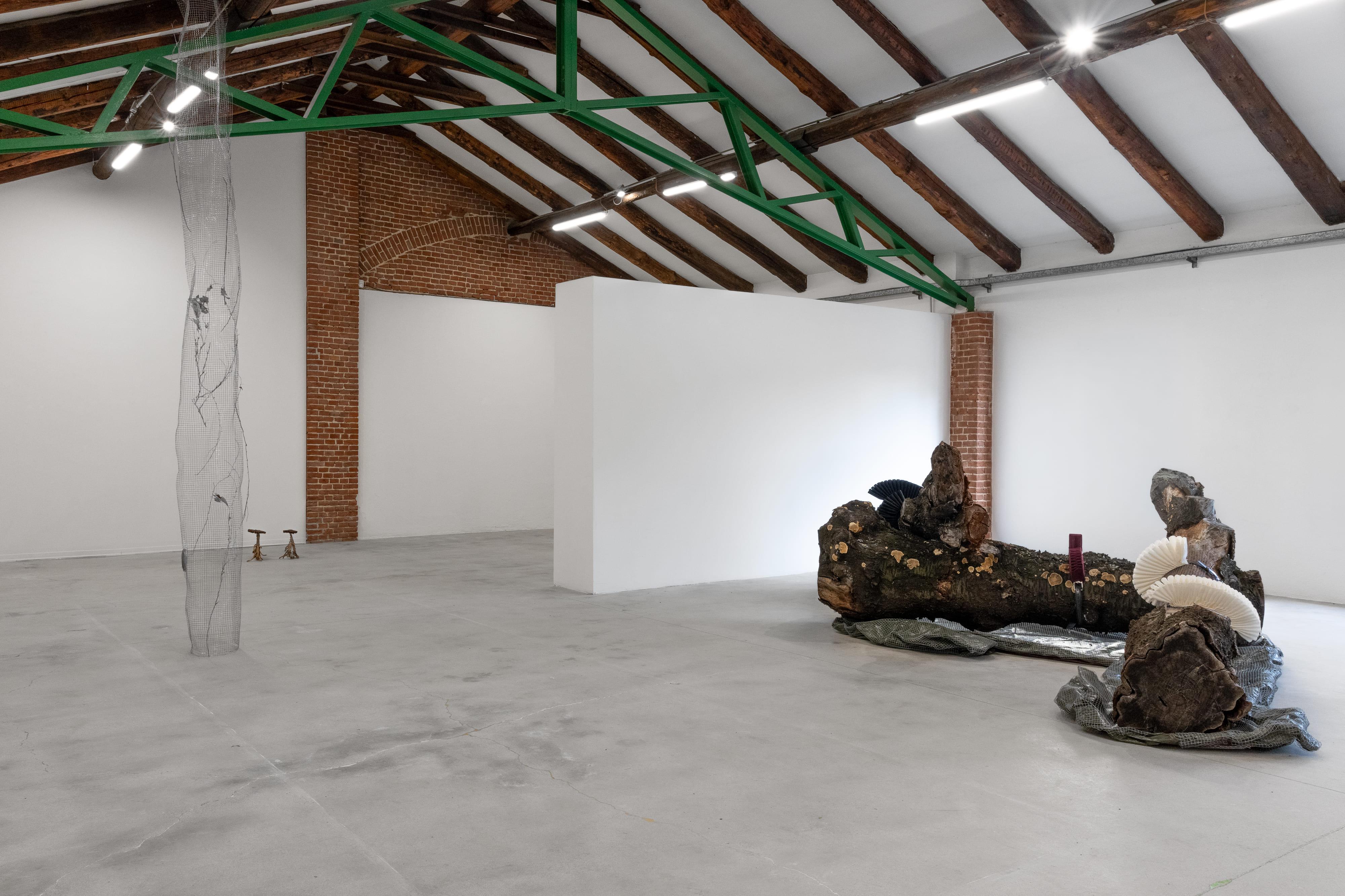 Ingeborg Tysse, Old Snag, 2026, installation view