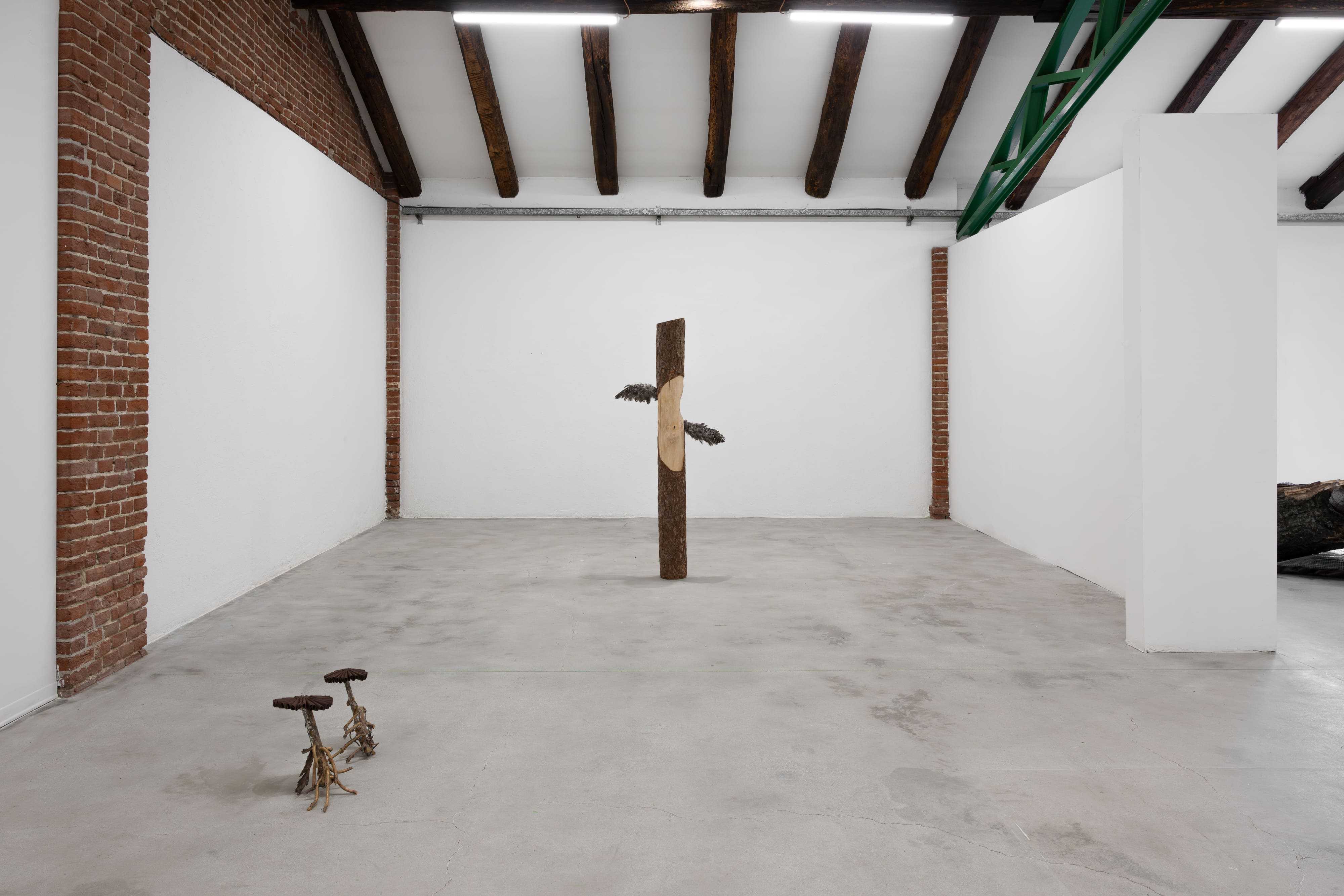 Ingeborg Tysse, Old Snag, 2026, installation view