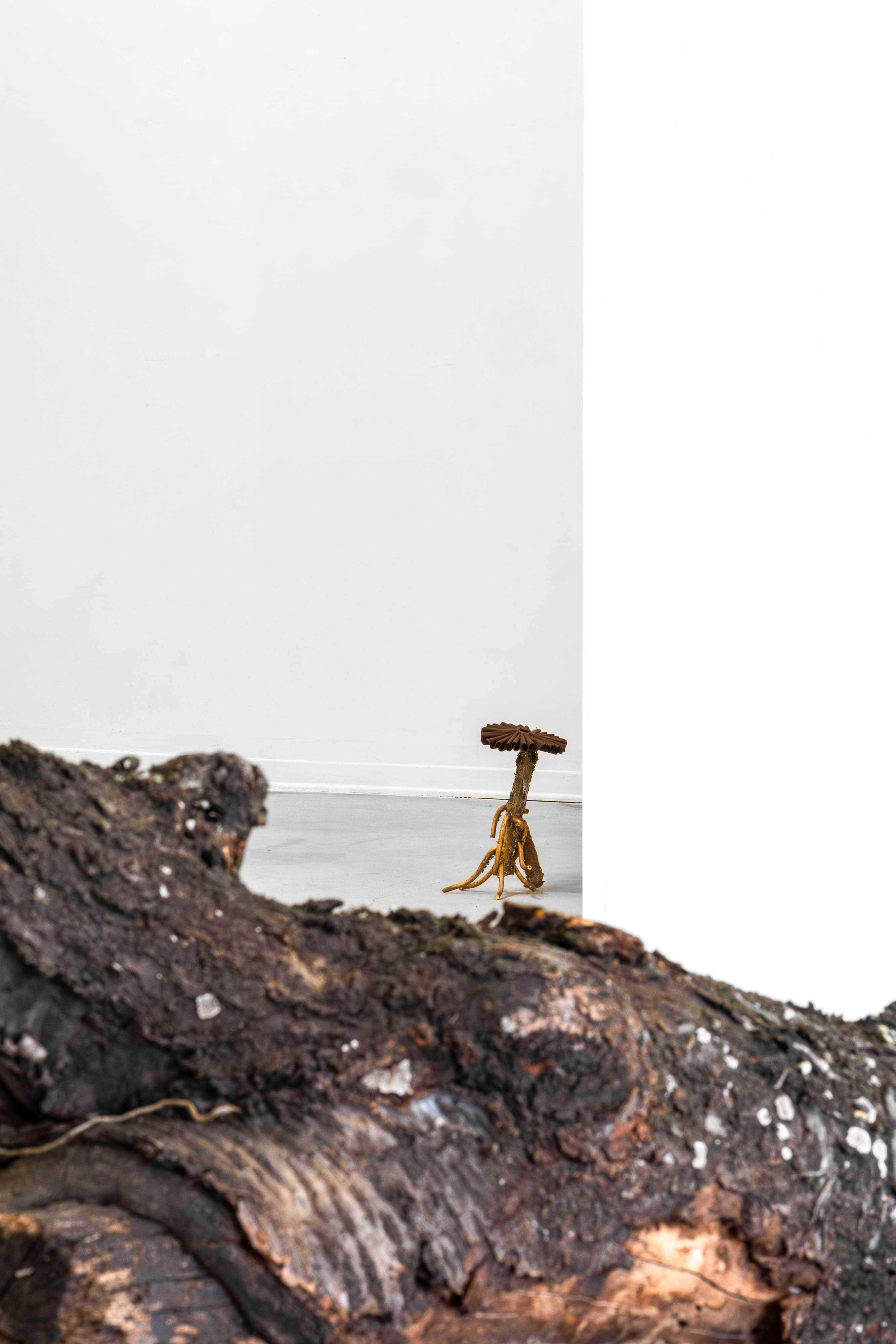 Ingeborg Tysse, Old Snag, 2026, installation view