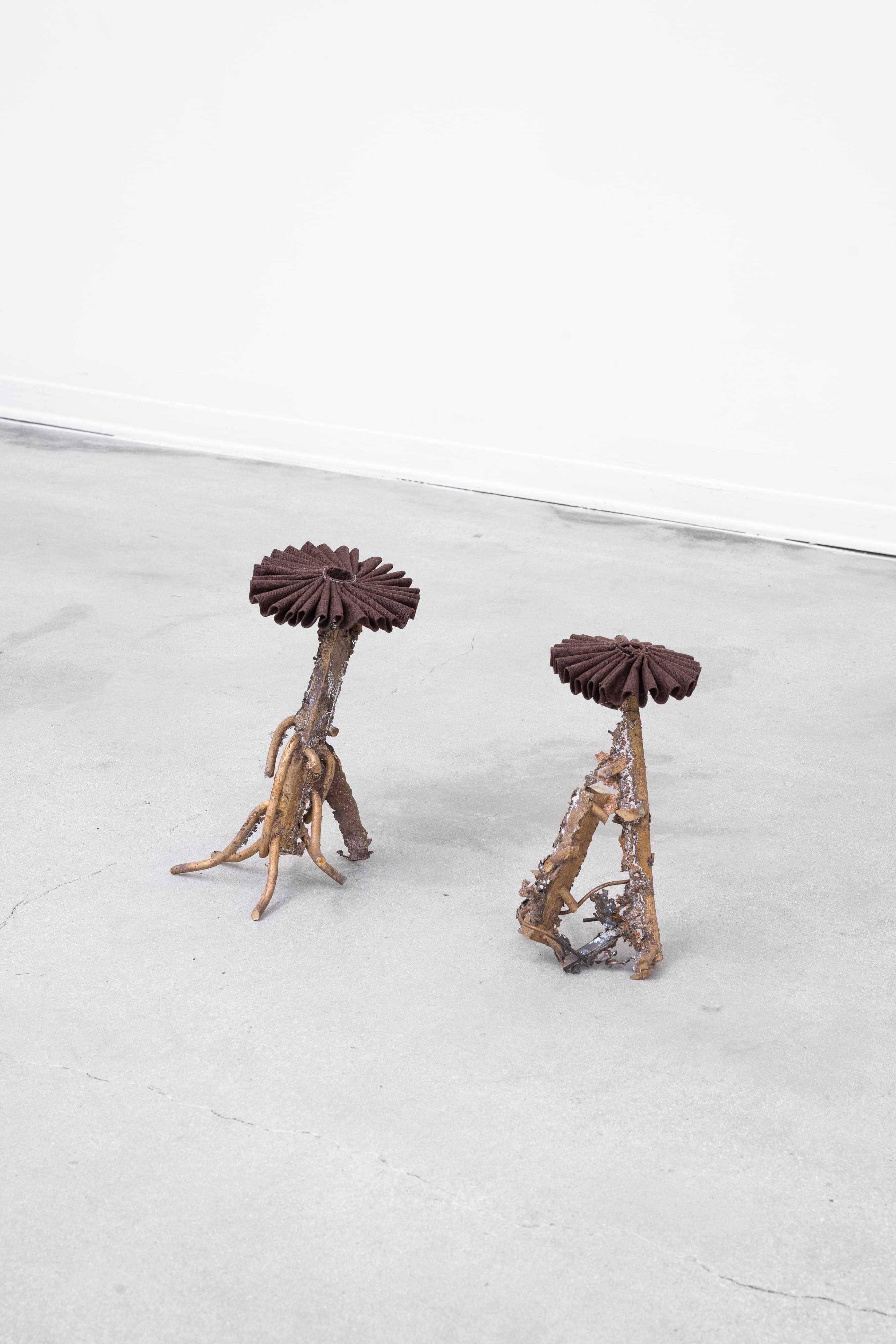 Ingeborg Tysse, Ruffrooms, 2026 Bronze, linen collar 33 x 60 x 25 cm