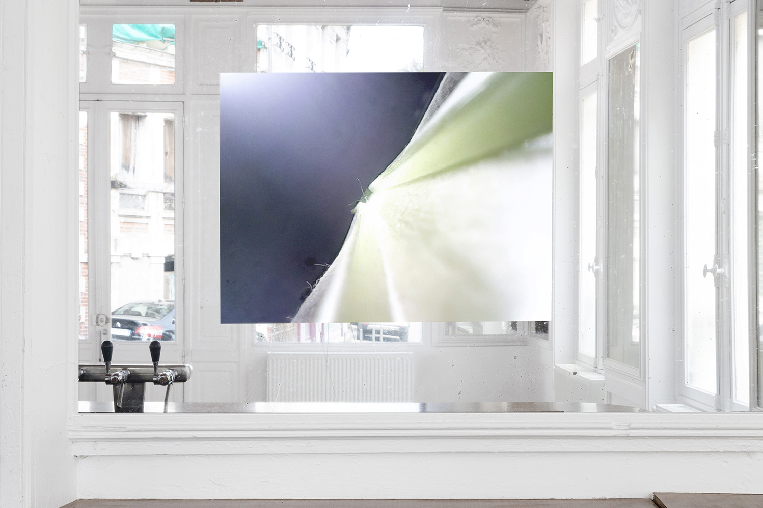 Alexandre Khondji, Single Insert, 2026, video stream (endoscopic camera), video projection 