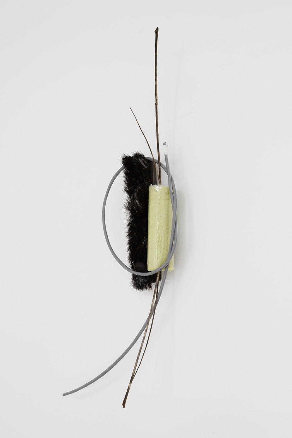 Hélène Janicot, Untitled, 2026 cable, brush, roller, branch, chestnut, , Café des Glaces, Tonnerre, 2026