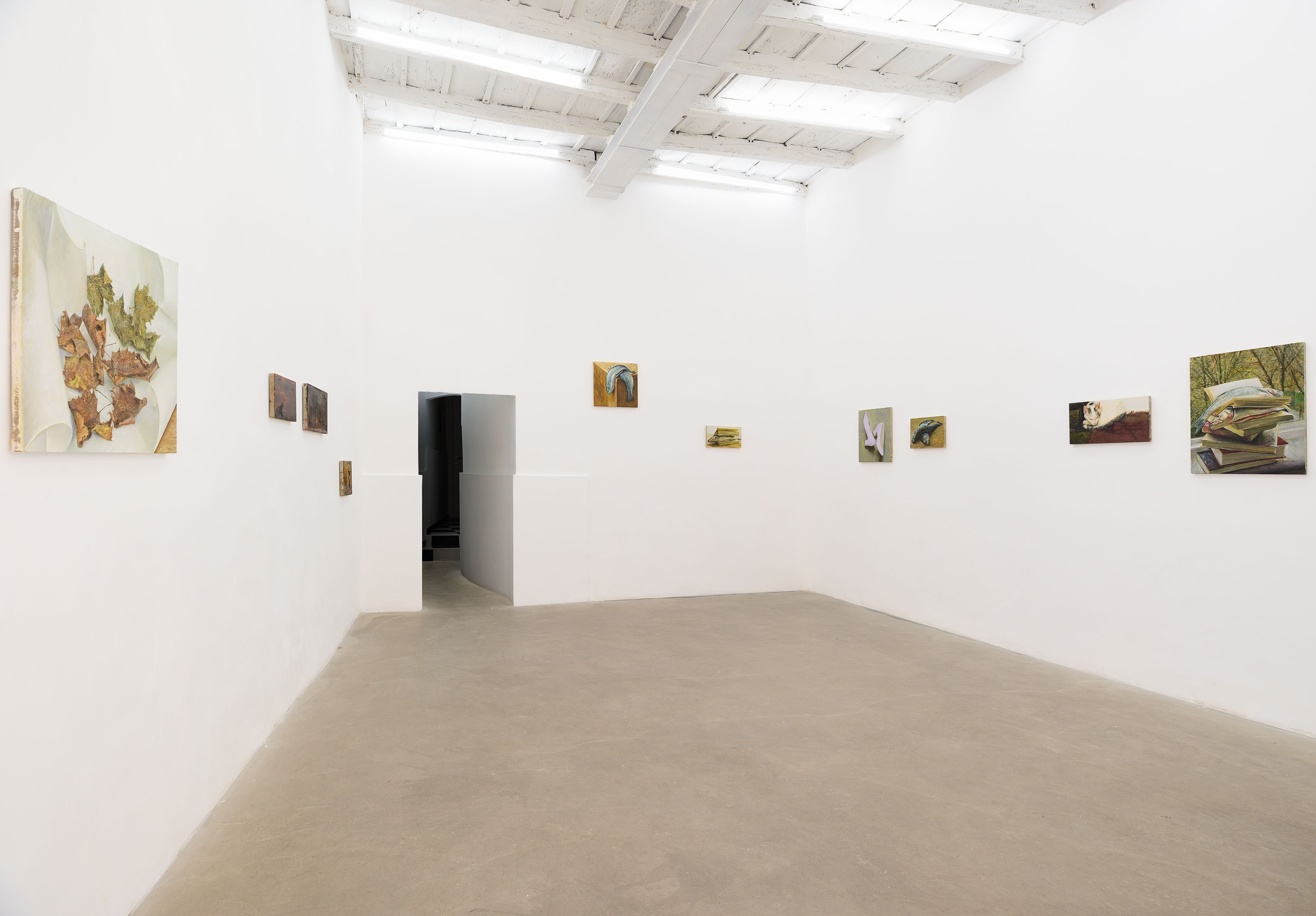 Cyryl Polaczek, Sette mesi, 2026. Installation view at ADA, Rome. Photo by Roberto Apa. Courtesy of the Artist and ADA, Rome