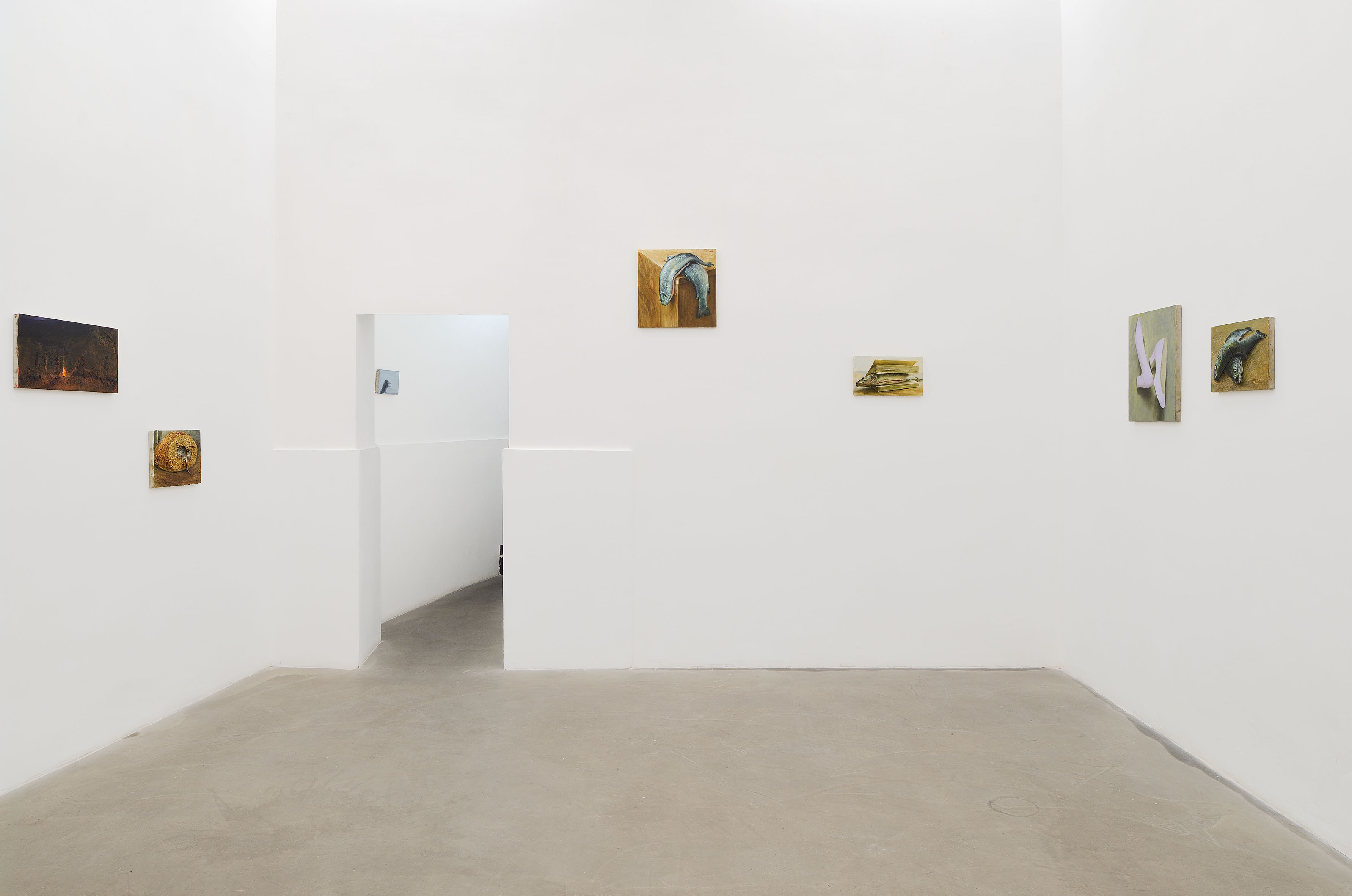 Cyryl Polaczek, Sette mesi, 2026. Installation view at ADA, Rome. Photo by Roberto Apa. Courtesy of the Artist and ADA, Rome