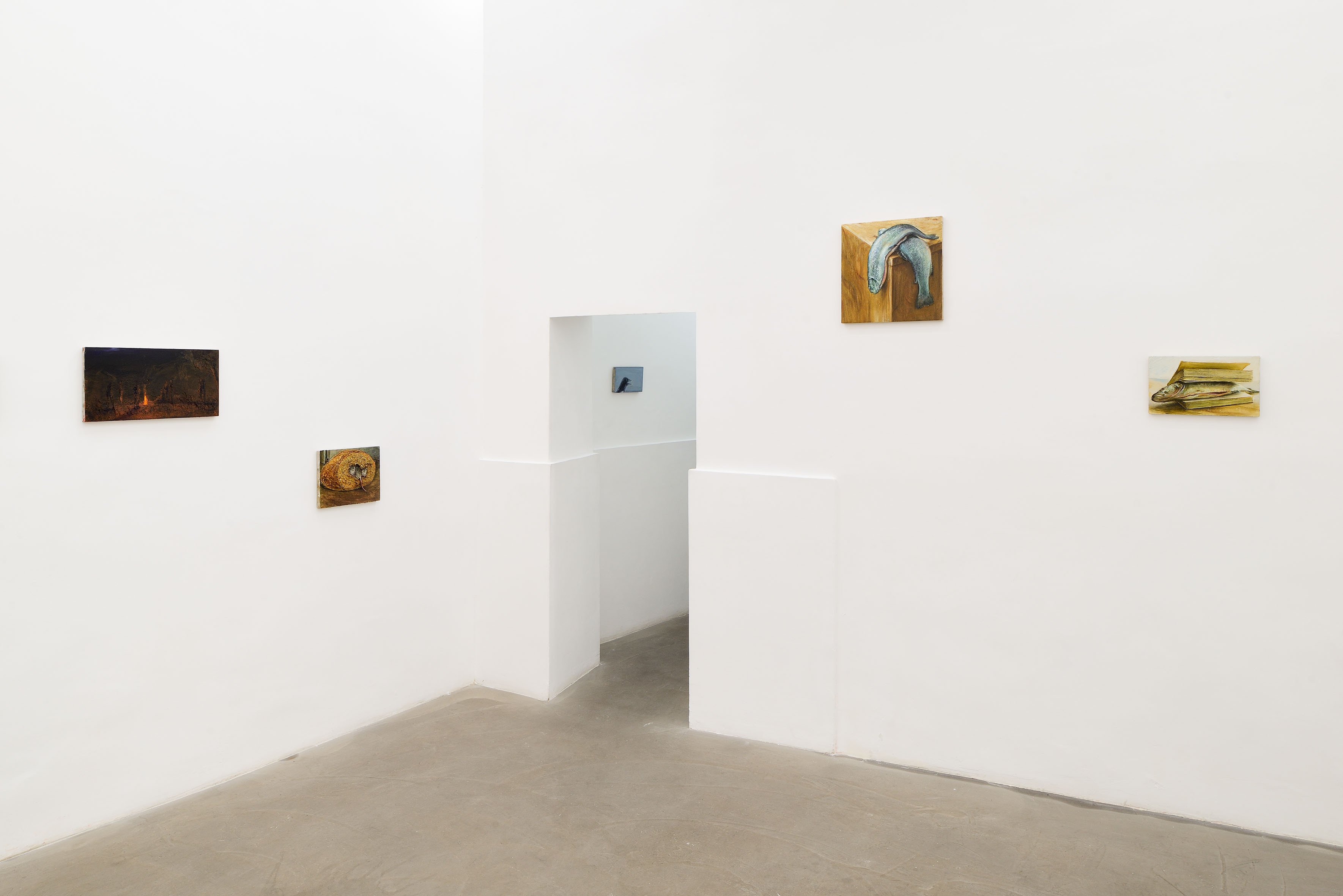 Cyryl Polaczek, Sette mesi, 2026. Installation view at ADA, Rome. Photo by Roberto Apa. Courtesy of the Artist and ADA, Rome