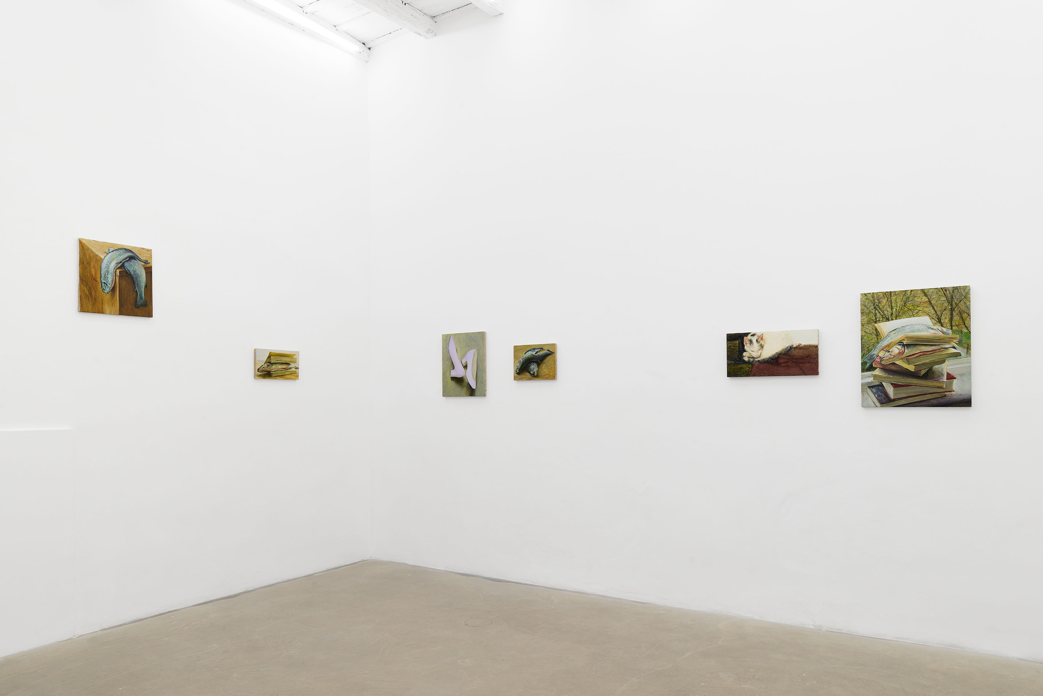 Cyryl Polaczek, Sette mesi, 2026. Installation view at ADA, Rome. Photo by Roberto Apa. Courtesy of the Artist and ADA, Rome