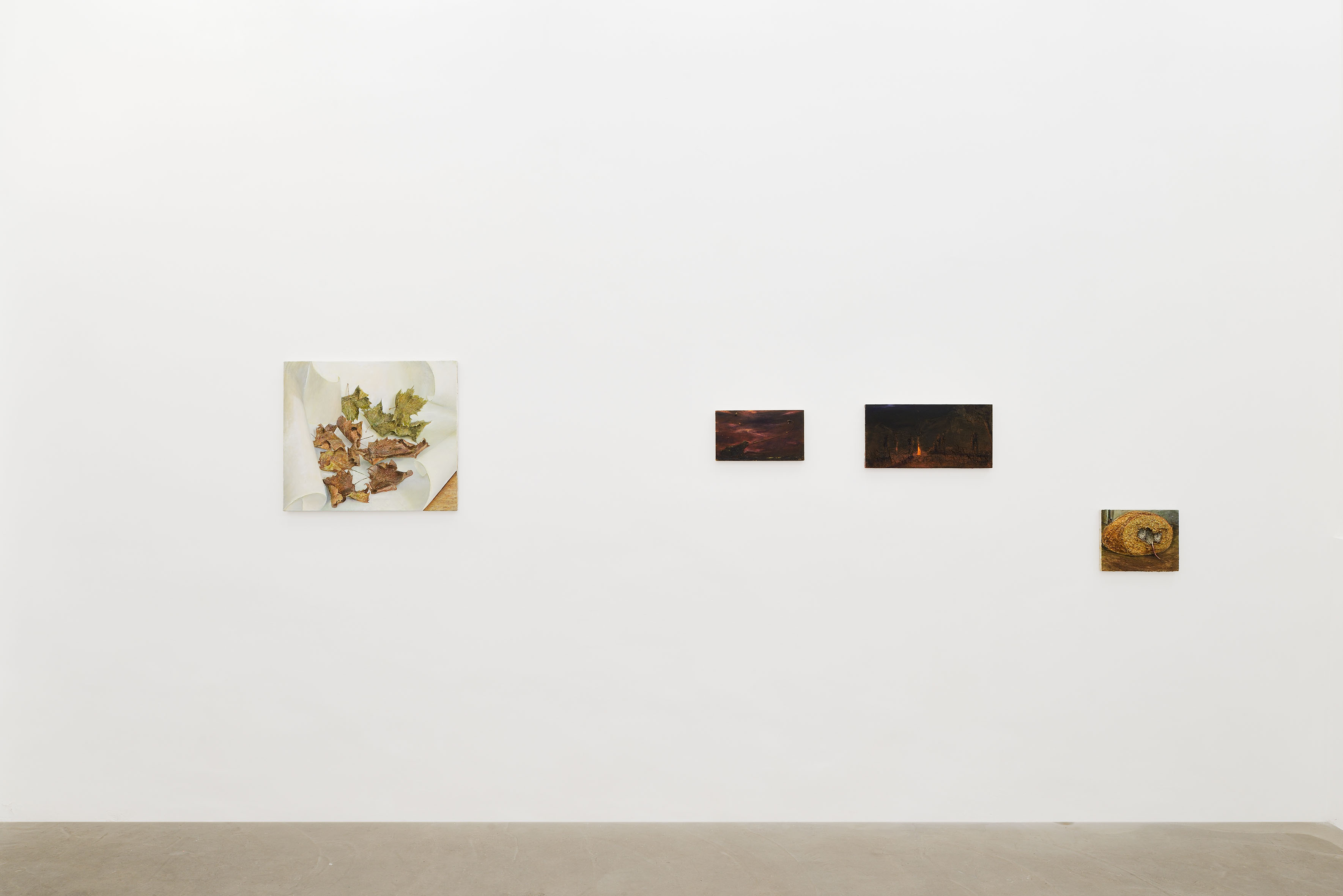 Cyryl Polaczek, Sette mesi, 2026. Installation view at ADA, Rome. Photo by Roberto Apa. Courtesy of the Artist and ADA, Rome