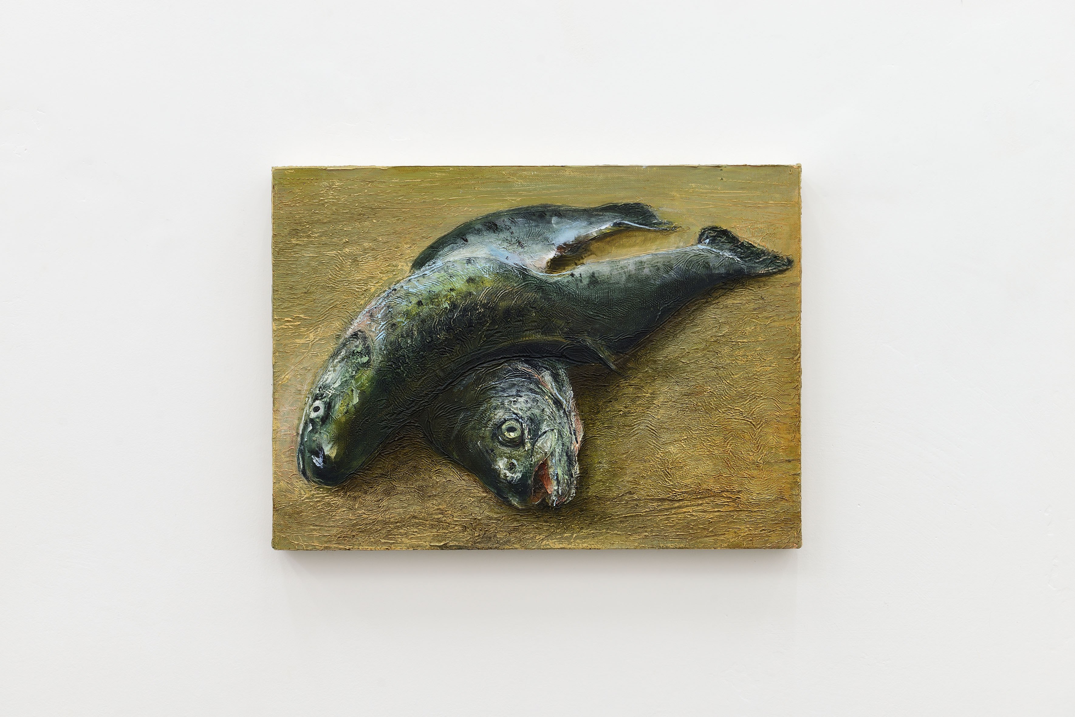 Cyryl Polaczek, Trouts, 2026, oil on canvas, 24 x 33 cm. Photo by Roberto Apa. Courtesy of the Artist and ADA, Rome