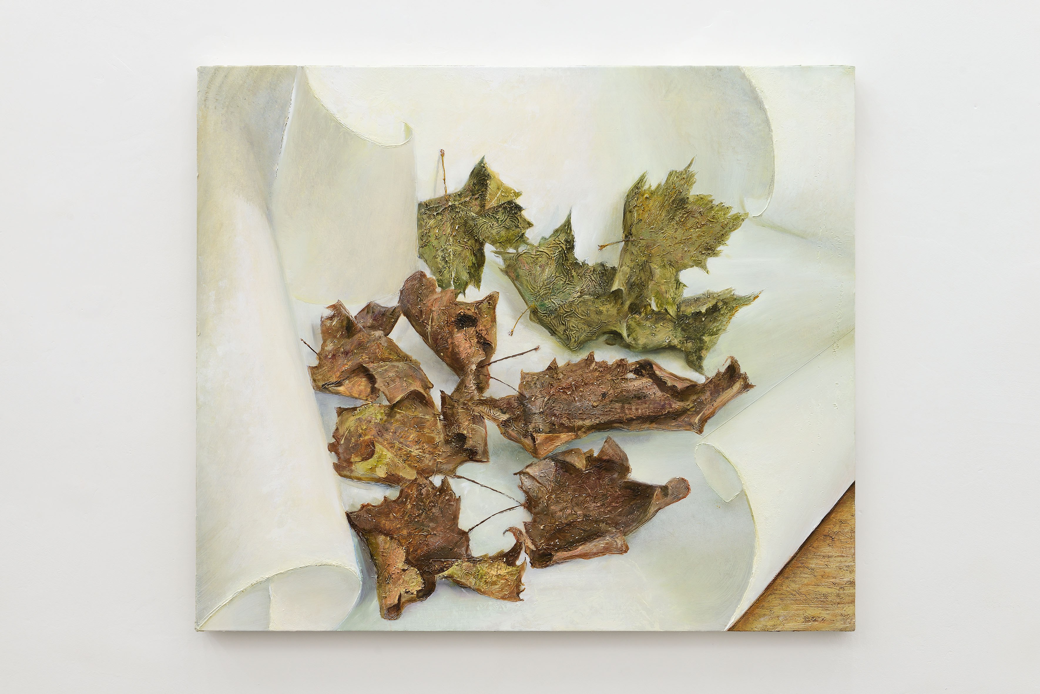 Cyryl Polaczek, Leaves on paper, 2026, oil on canvas, 60 x 70 cm. Photo by Roberto Apa. Courtesy of the Artist and ADA, Rome