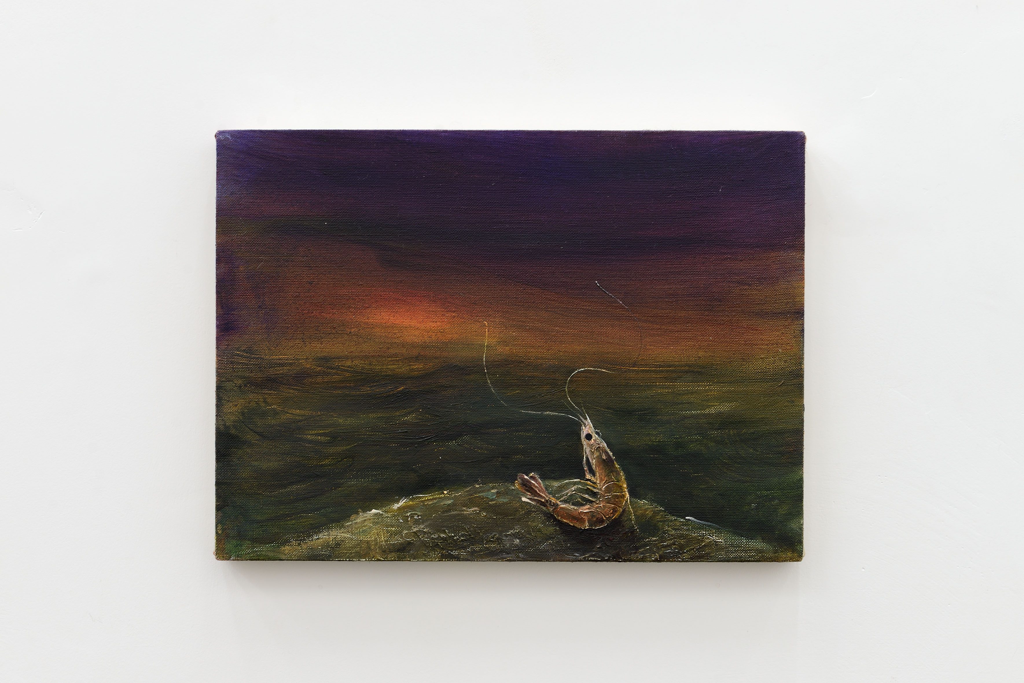 Cyryl Polaczek, Shrimp and sunset, 2026, oil on canvas, 24 x 33 cm. Photo by Roberto Apa. Courtesy of the Artist and ADA, Rome