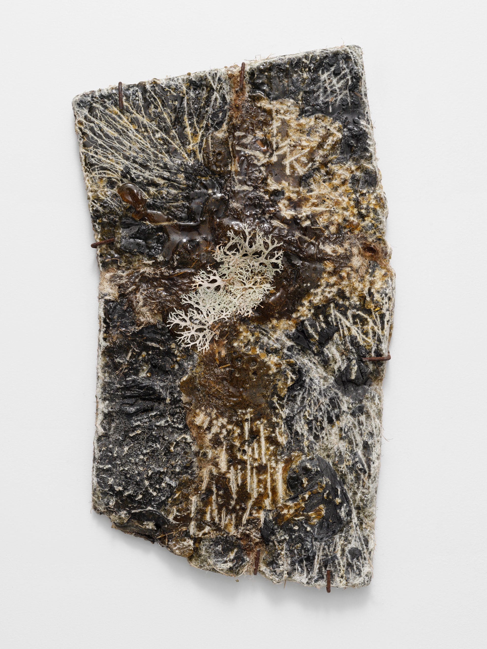 Louis Guillaume, es résignées 5-14, 2026, pine resin (colophony), various inserted materials, approx. 50 x 27 cm each 