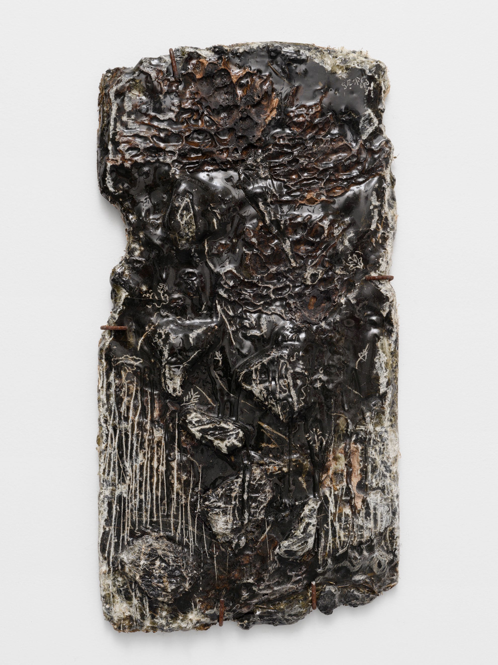 Louis Guillaume, es résignées 5-14, 2026, pine resin (colophony), various inserted materials, approx. 50 x 27 cm each 
