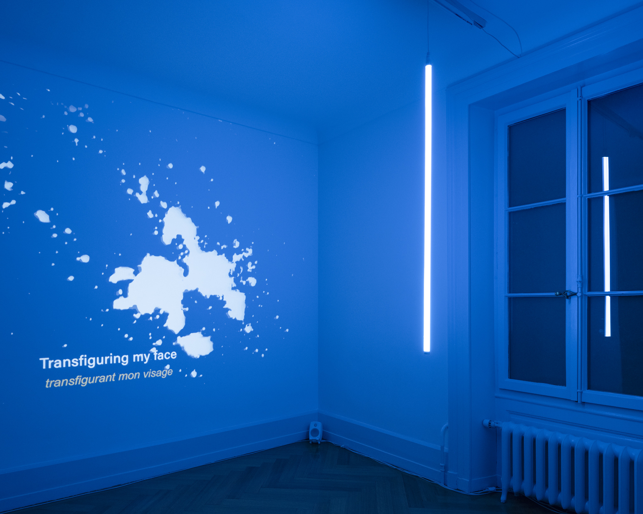 Exhibition View, ‘helvetropicos. Más acá de lo (ir)real’ at the Villa Bernasconi, 2026 © Photo by Dylan Perrenoud