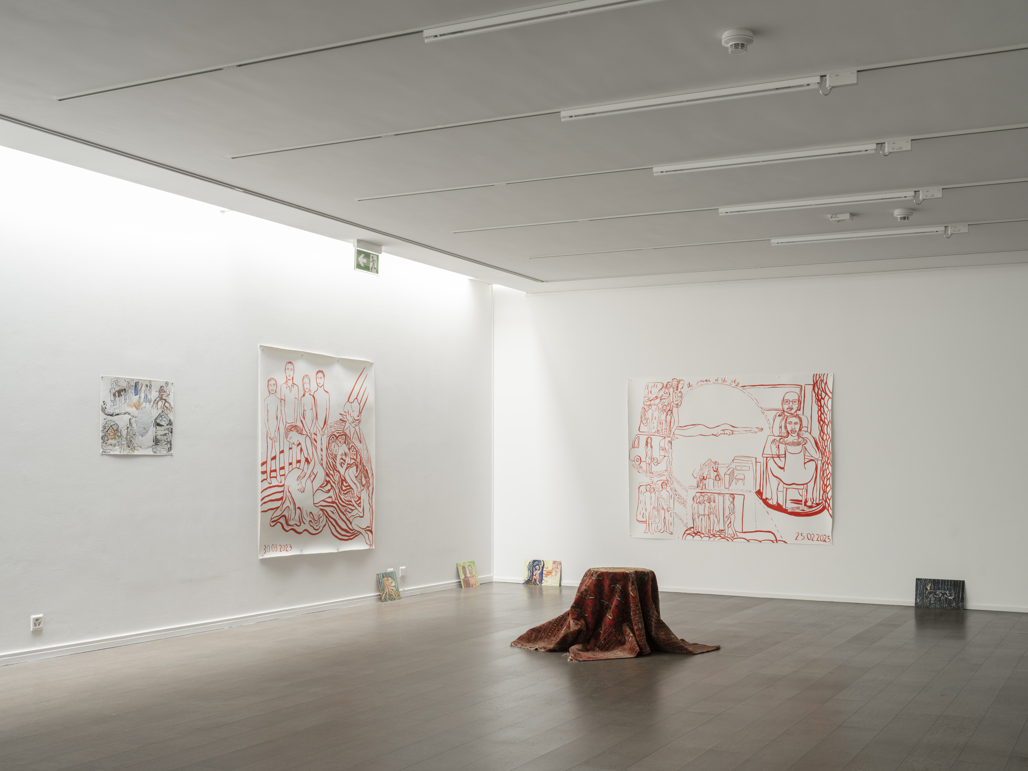 Exhibition View, ‘helvetropicos. Más acá de lo (ir)real’ at the Villa Bernasconi, 2026 © Photo by Dylan Perrenoud