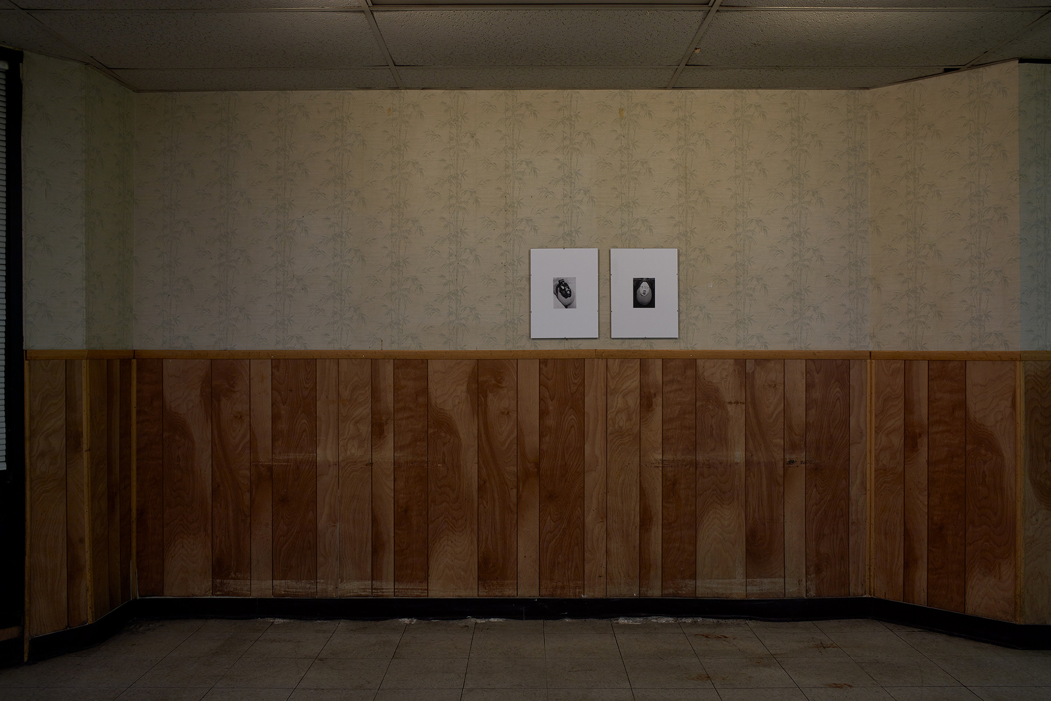 Eric Bell and Kristoffer Frick - Regulation - Installation View - Leroy's