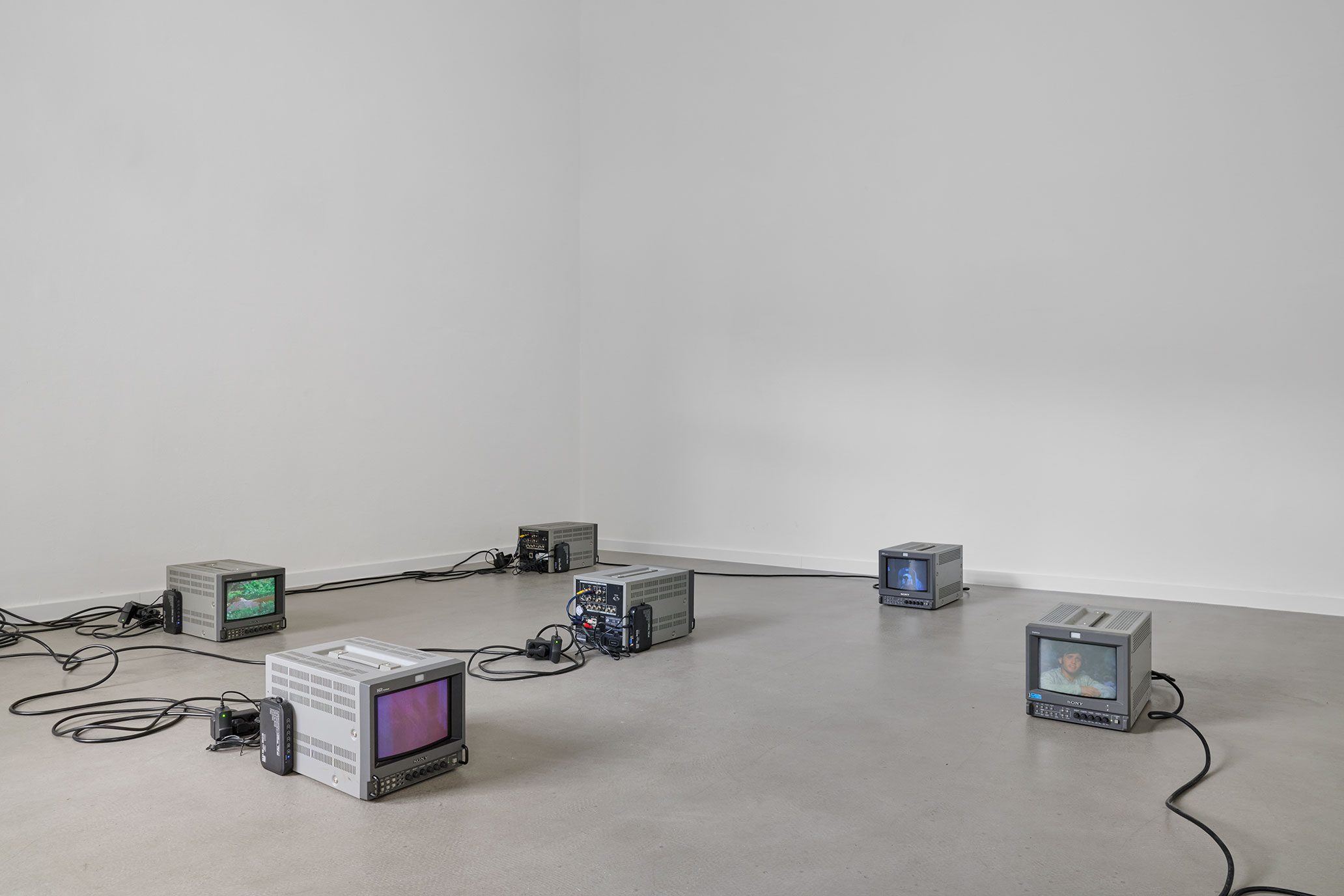 Installation view, Nils Ben Brahim, Decameron, Galerie Khoshbakht, Cologne, 2026