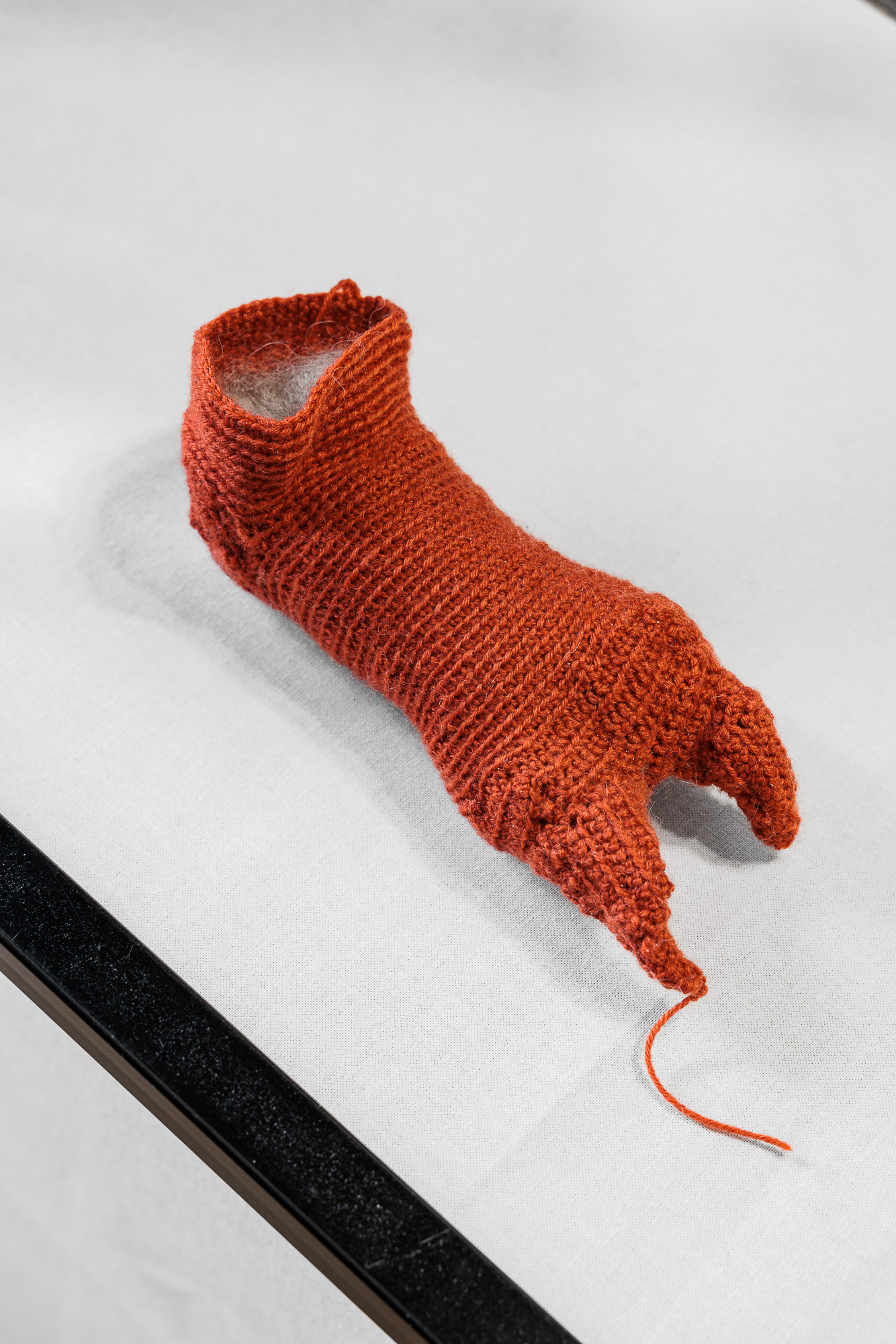 Socken, Five Hearts Nine Brains, PILOT, Vienna
