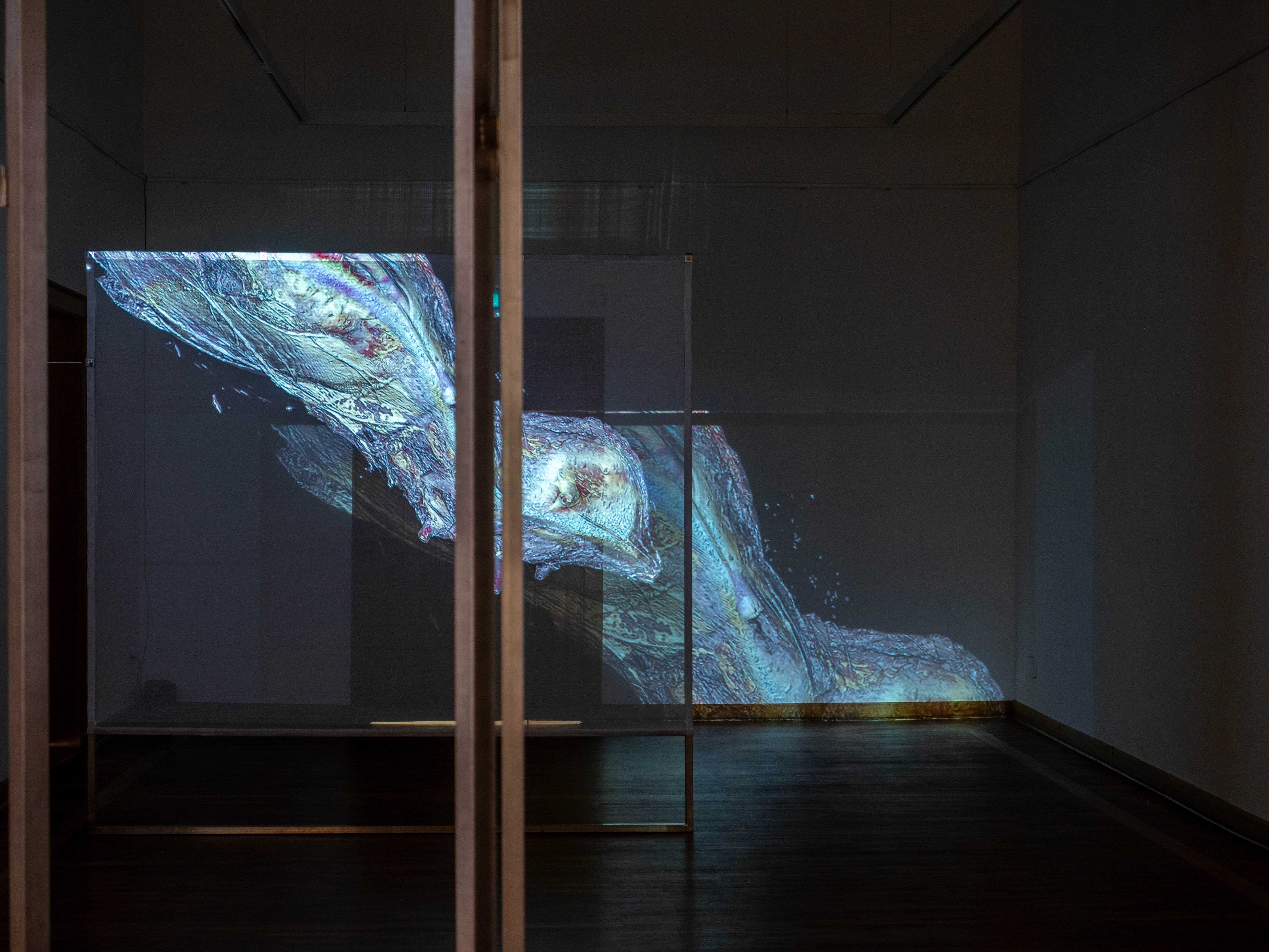 Roy Köhnke Being Flesh, 2023, video projection on screen, soundtrack: UN1 by Unglee Izy | HD, 20 min | CAPC Bordeaux, CRMBM, Marseille, DRAC IDF © Adagp, Paris, 2026