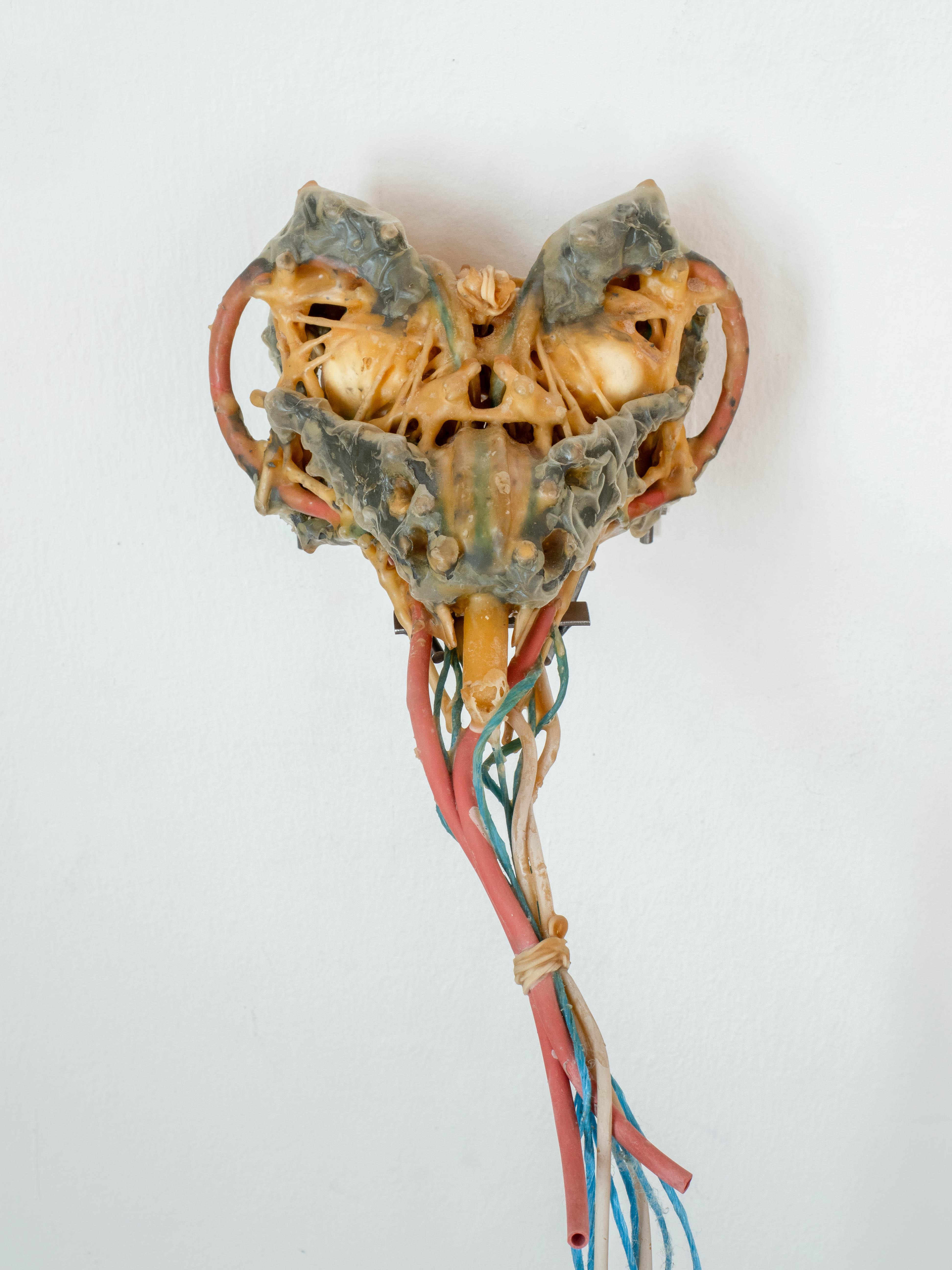 Roy Köhnke Brains #3 (Brain Series), 2023, latex tube, natural rubber, bee wax, PP agricultural twine, natural twine, bamboo stick, plastilin, 19,5 x 18 x 11,5 cm  | CAPC Bordeaux, CRMBM, Marseille, DRAC IDF © Adagp, Paris, 2026