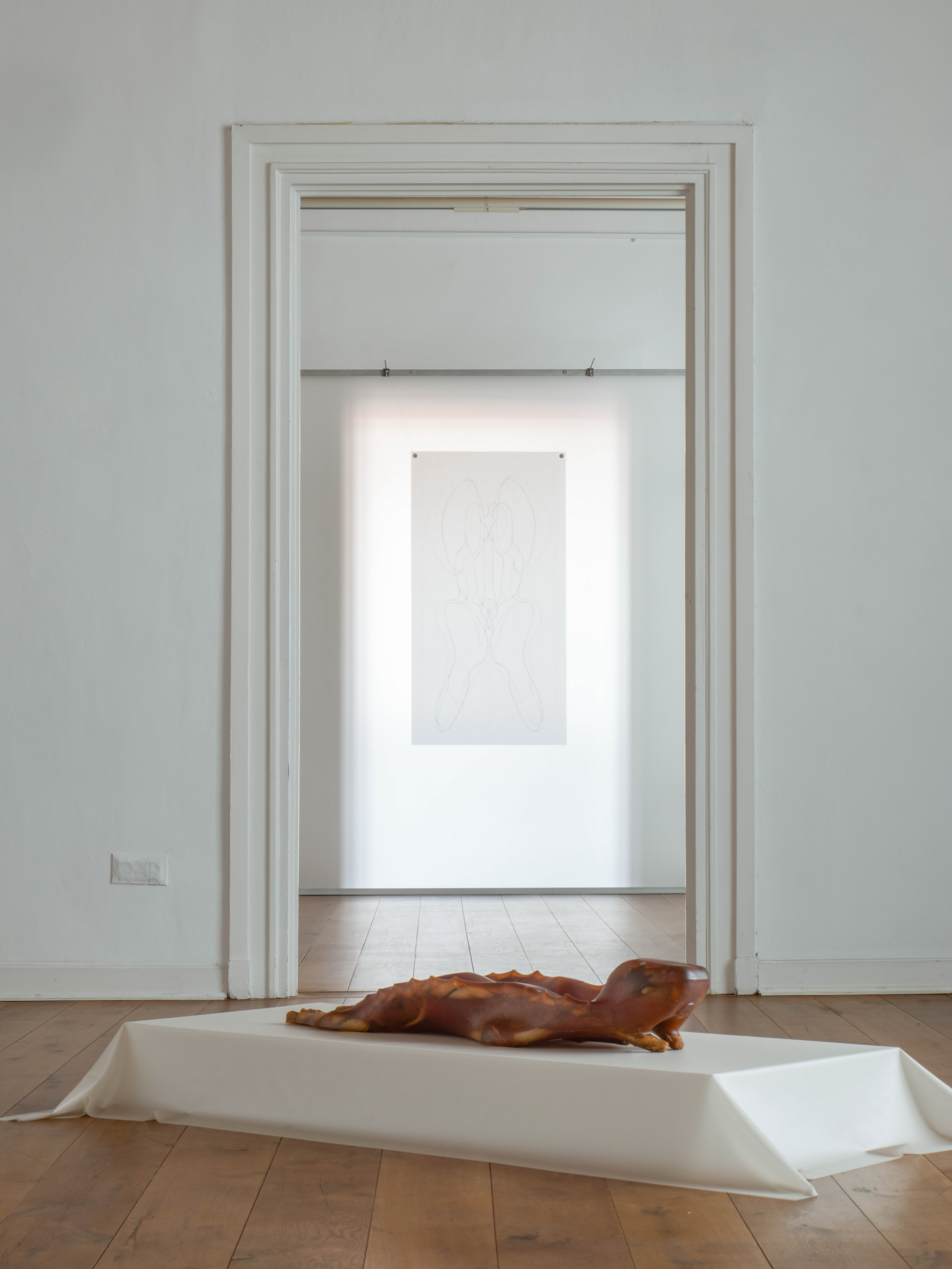 Roy Köhnke TRANSHUMAN N°2 Being Flesh (exhibition view) 2026, Altes Rathaus, Göttingen (GER) © Adagp, Paris, 2026