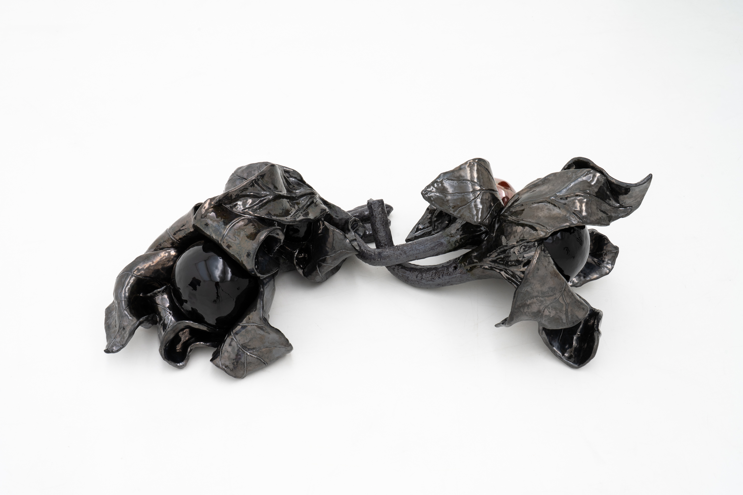 Installation view of Nightshade 13 (2022) and Nightshade 11 (2022) of Monika Grabuschnigg’s exhibition ‘Tears don't burn’, 2026. 36 x 62 x 41 cm and 33 x 80 x 45 cm. Glazed ceramic. Courtesy of Kunstraum Remise Bludenz and the artist.