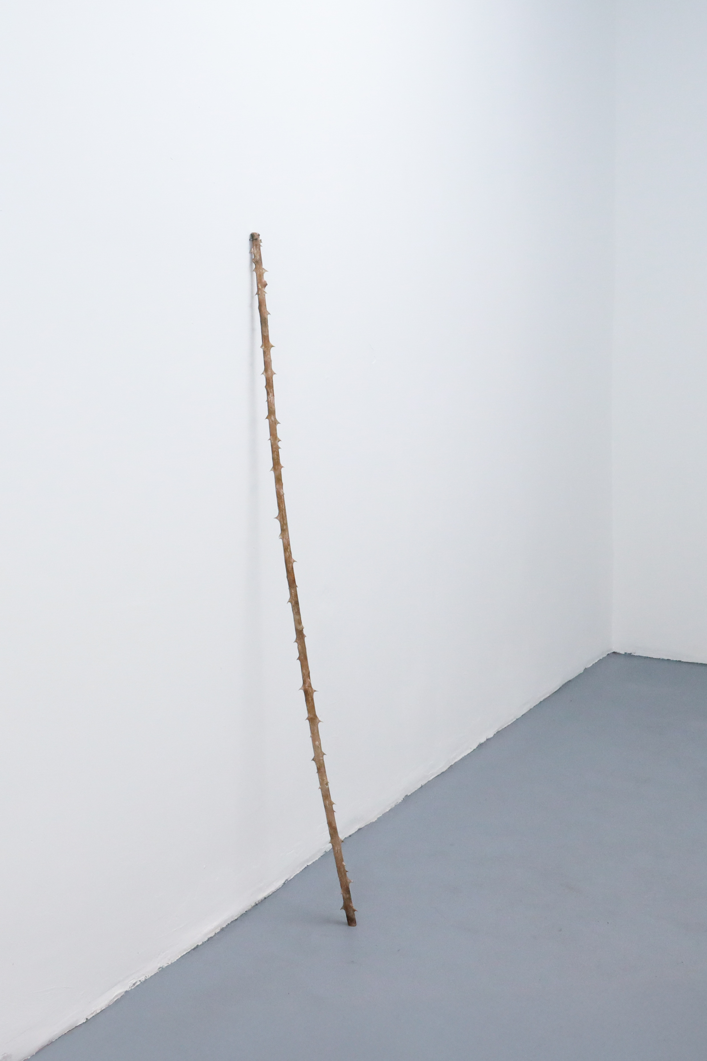 Installation view of 'Torn #2', 2026, bronze, 137 x 3 x 3 cm by Are Blytt, DOD Gallery, Cologne, 2026