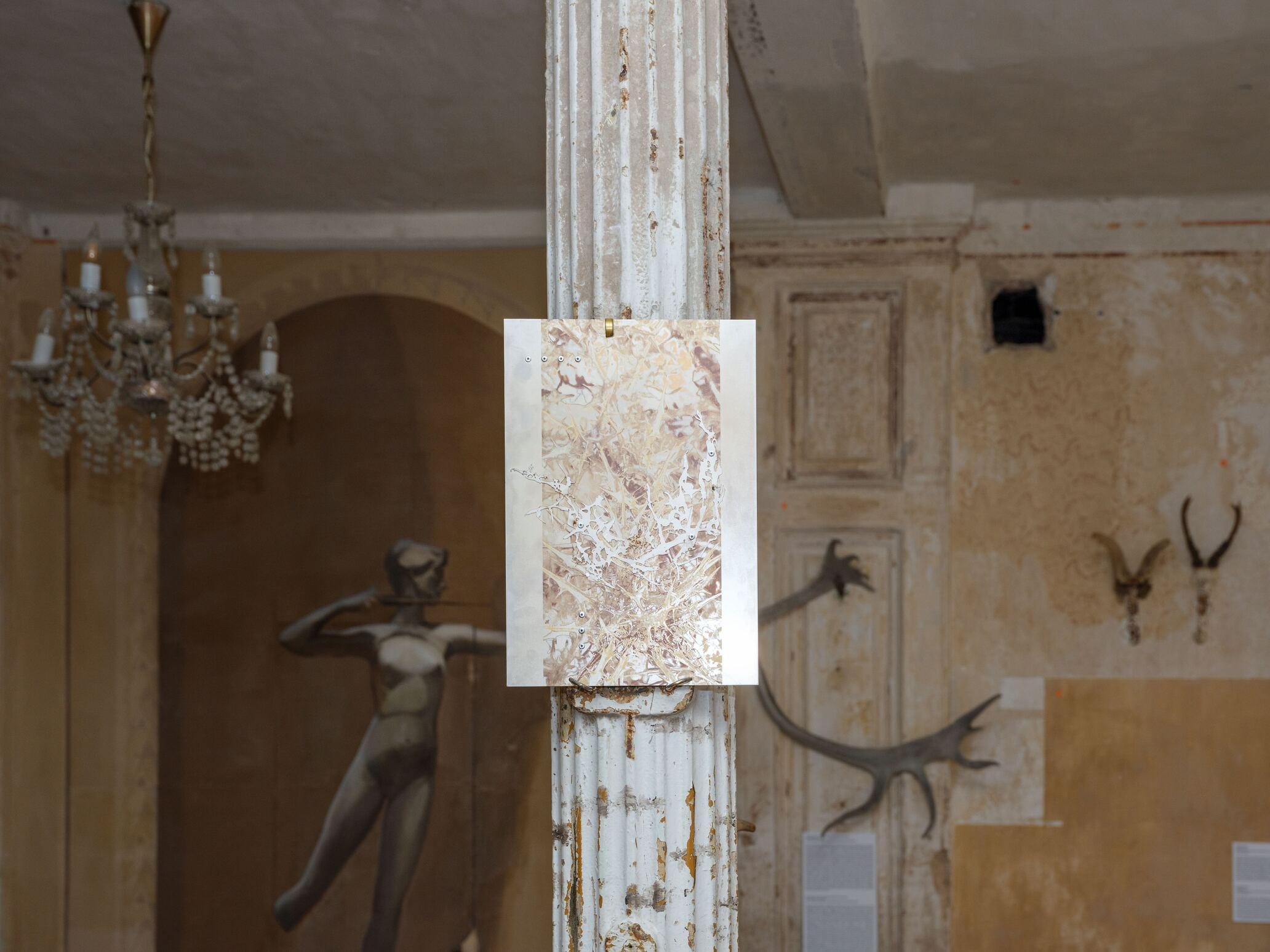  Inside Job (Ula Lucińska and Michał Knychaus), “Thistle study I”, 2024