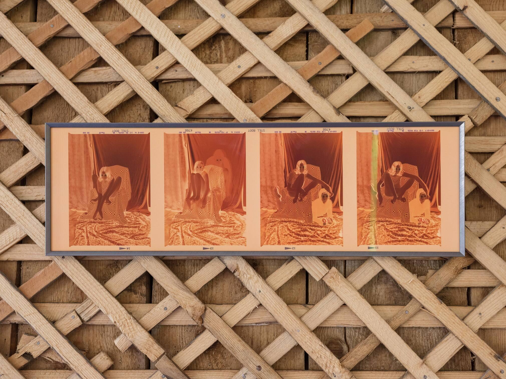 Agate Tūna, From the series “Familiar”, 2026